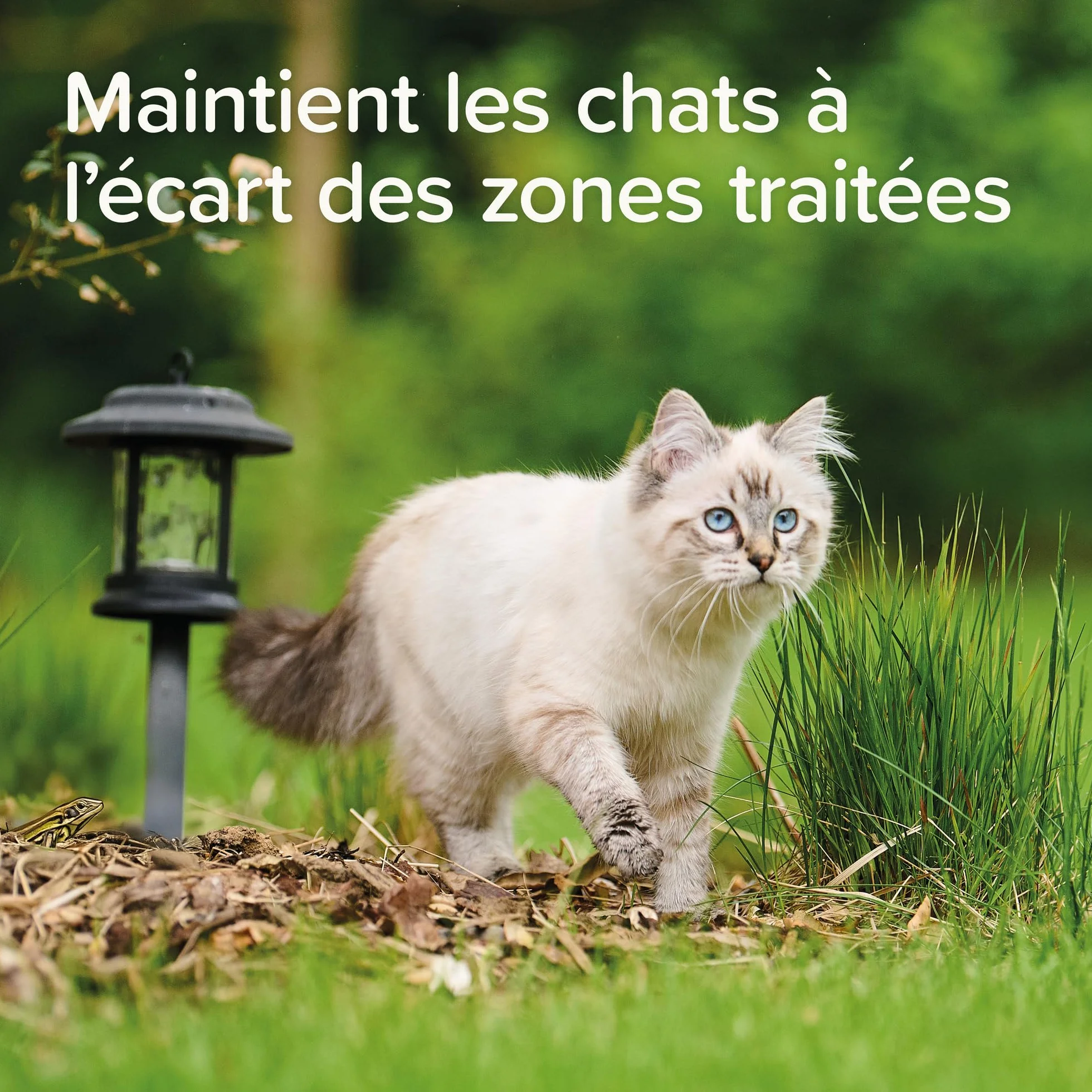 Beaphar Keep Off Spray répulsif Extérieur pour Chats 500 ML Jusqu'à 170m2