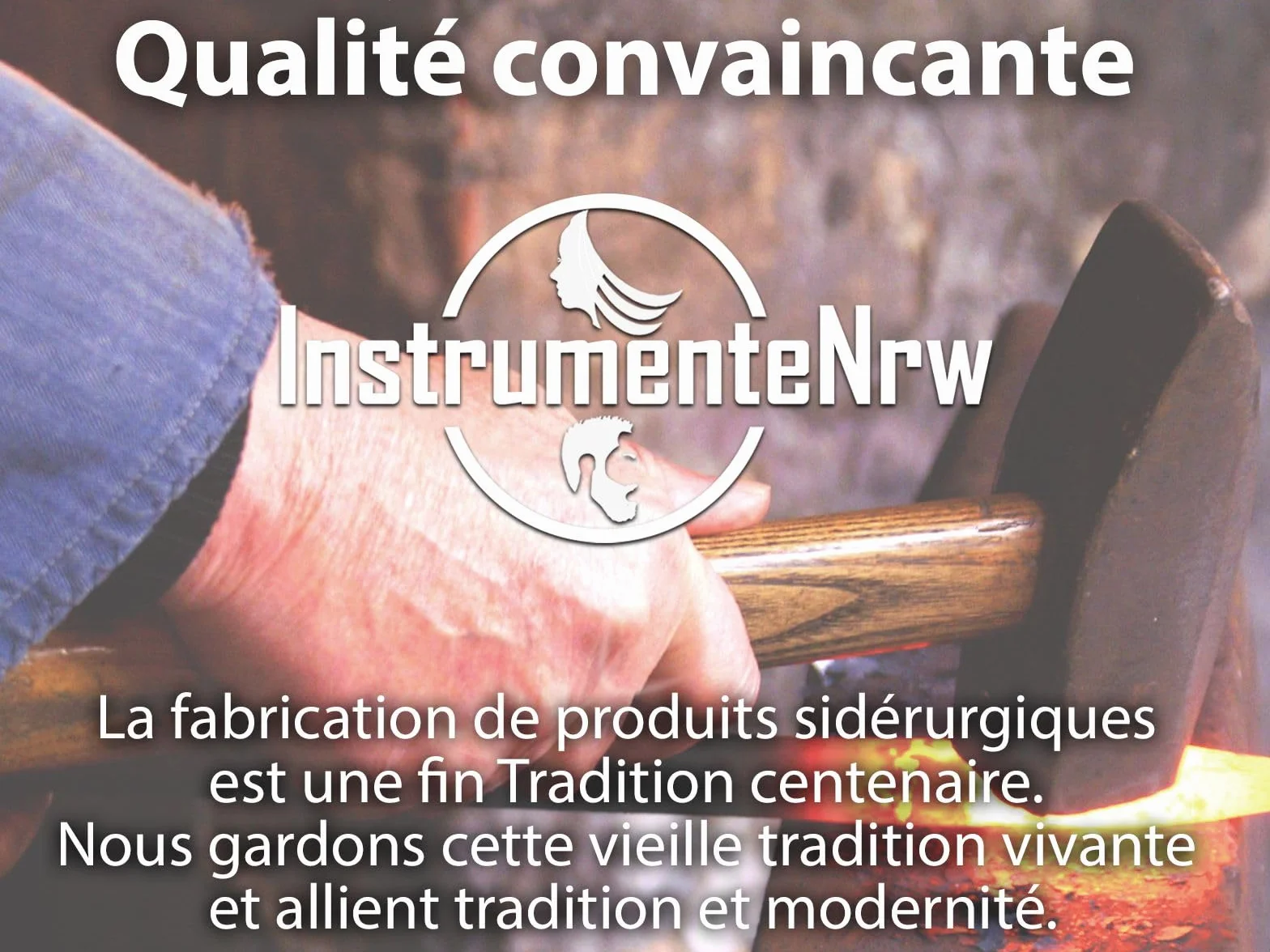 Kit complet pour aquarium-terrarium en acier inoxydable - Pinces, ciseaux, spatule à gravier
