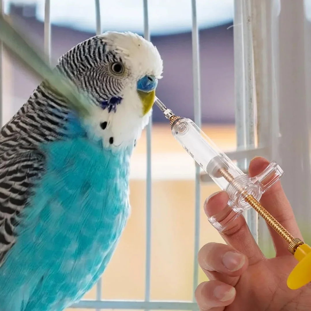 Lot de 2 Seringue d'alimentation pour oiseaux malades avec 4 tubes d'alimentation 10 ml