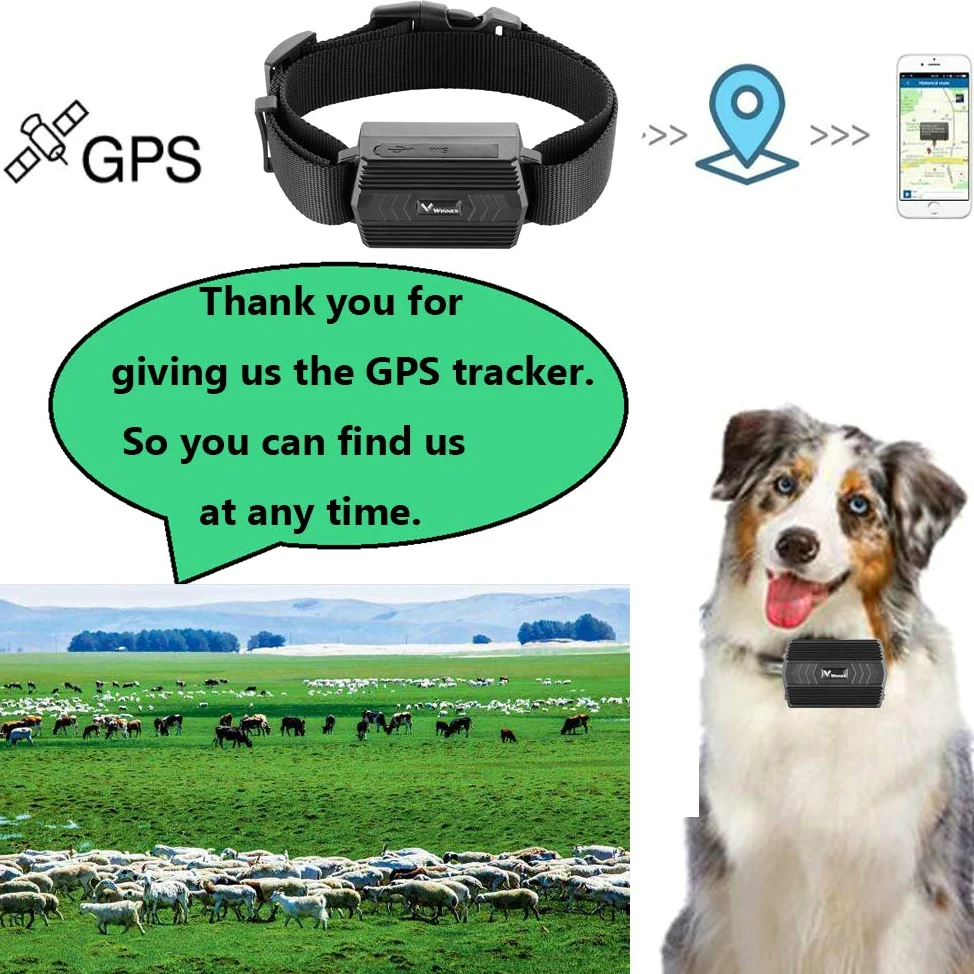 TKMARS Traceur GPS 4G pour Bétail, Localisateur GPS sans Abonnement | Suivi en Temps Réel, Clôture Virtuelle, Longue Autonomie, Étanche IP65, pour Vaches, Chevaux, Moutons et Grands Chiens