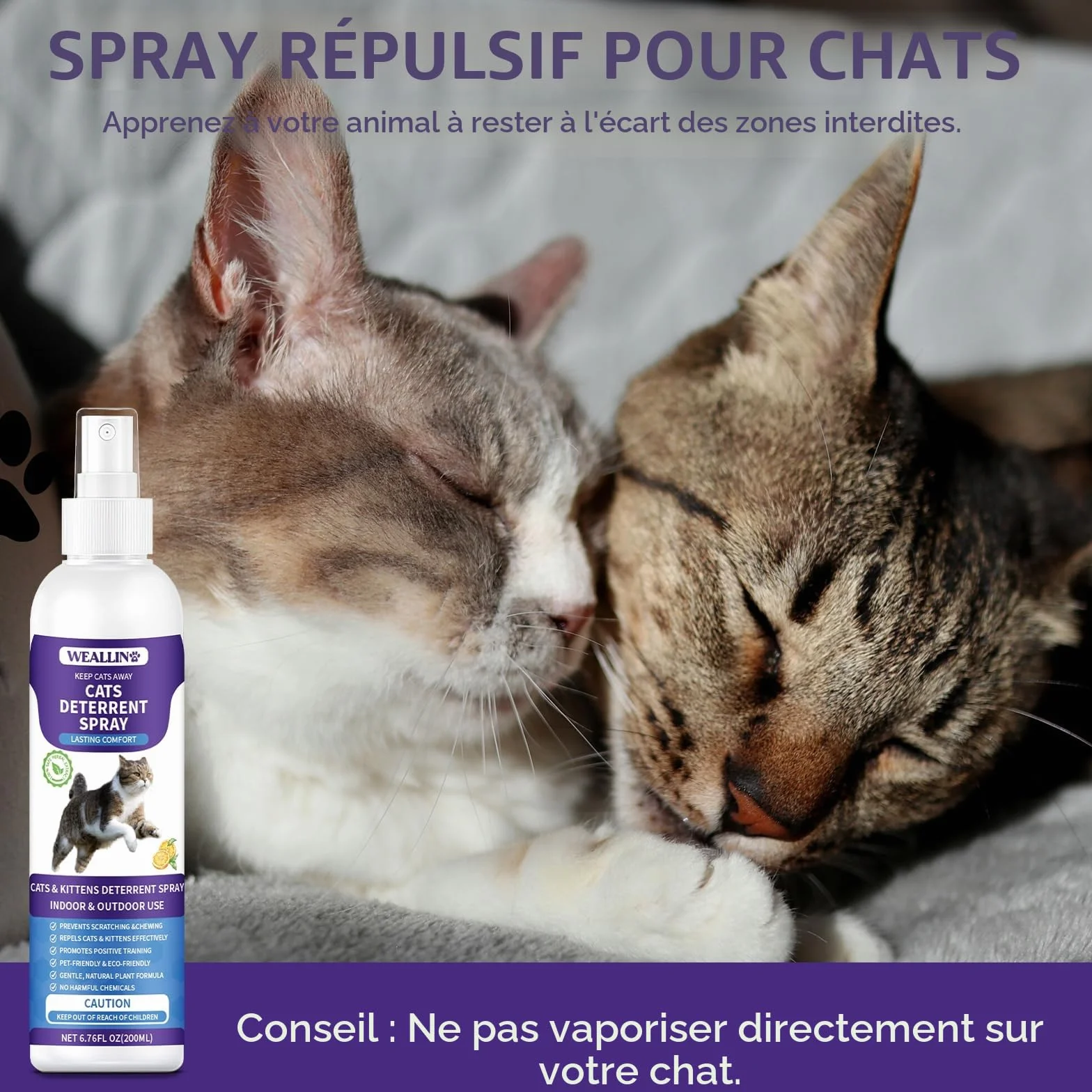 Spray Répulsif pour Chat 200ml Anti-Griffures Anti-Rayures pour Protéger Meubles et Plantes Intérieur Extérieur