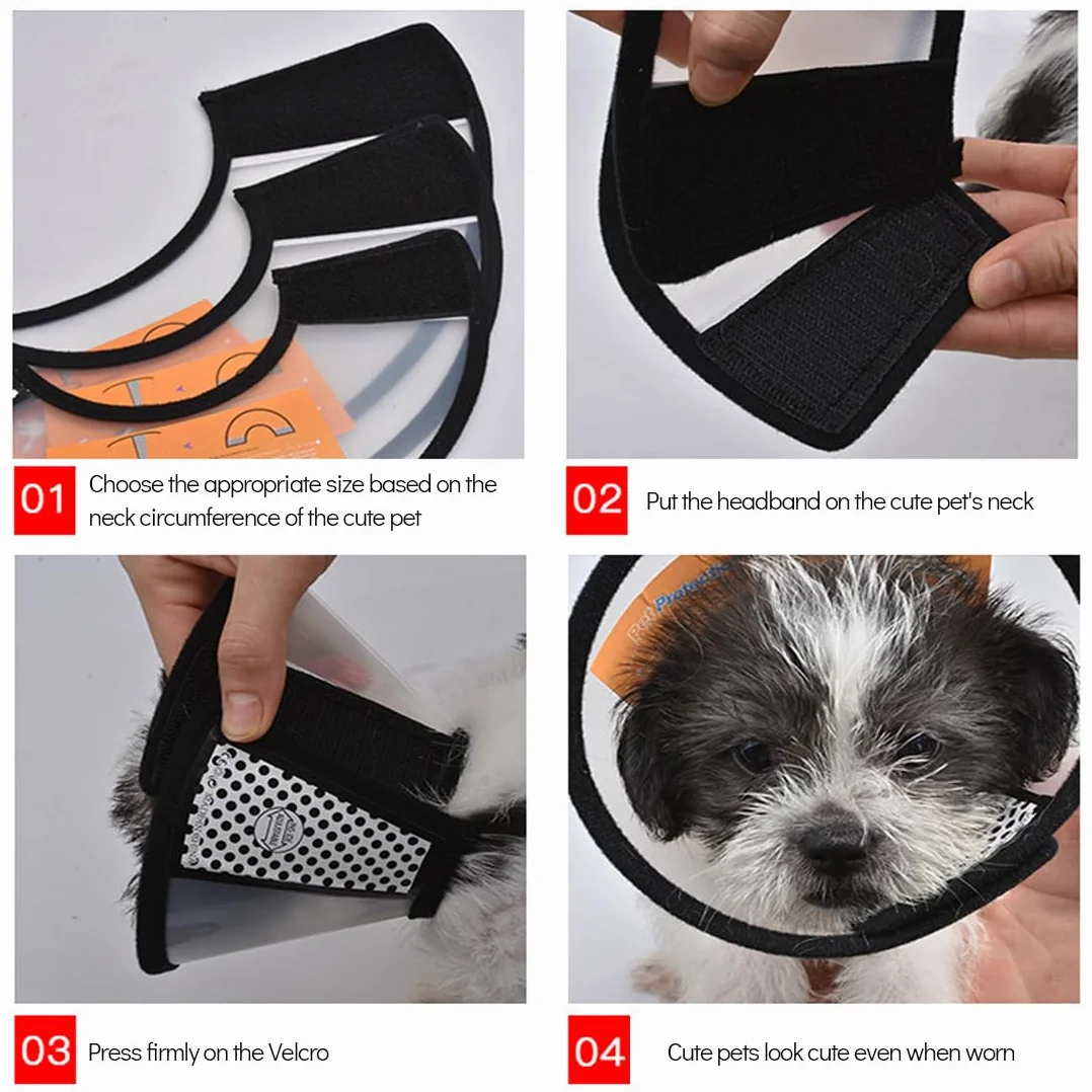 Collier Cône Protecteur Réglable pour Chat Chien Petit S Blanc