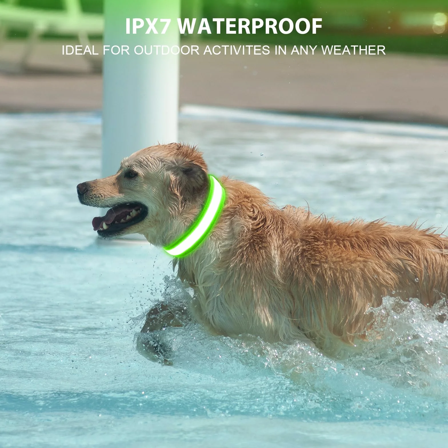 AUAUY Collier Lumineux LED Rechargeable pour Chien avec Port Type-C, 3 Modes, Imperméable, Réglable (L, Vert)