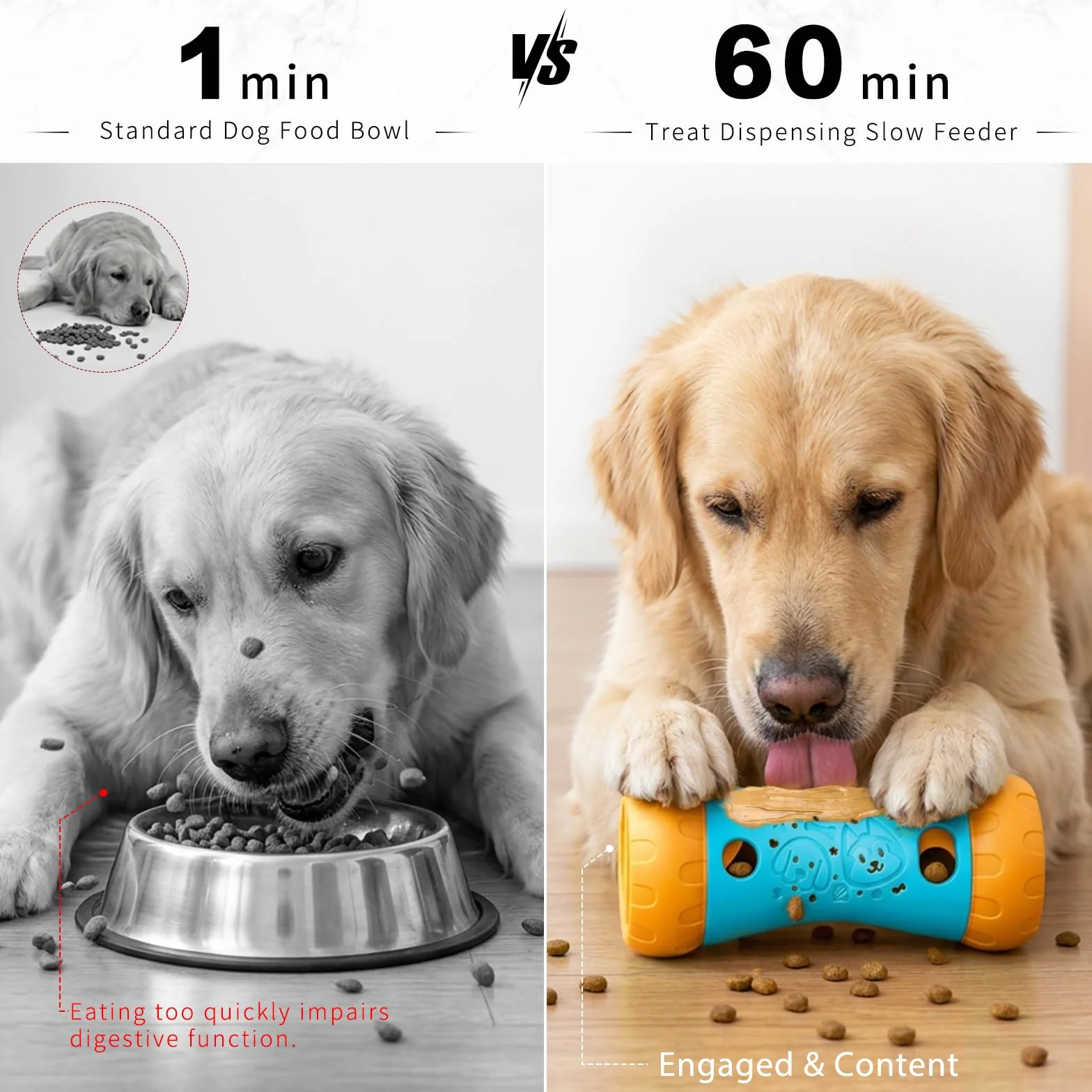 Jouet Chien Interactif Jeu Intelligence pour L'Ennui