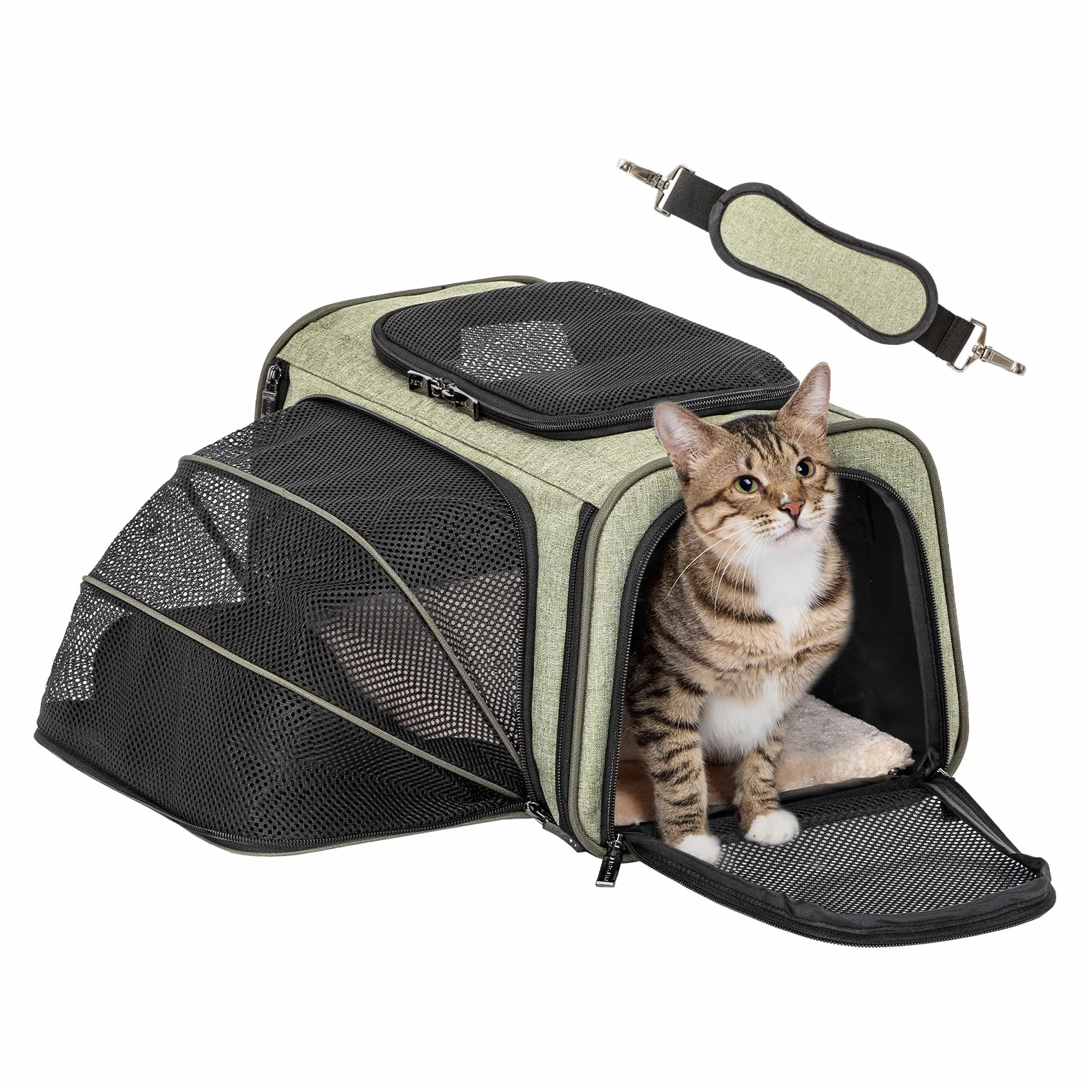 Petsfit Sac de transport extensible pour chat et chien approuvé par les compagnies aériennes avec tapis en peluche amovible