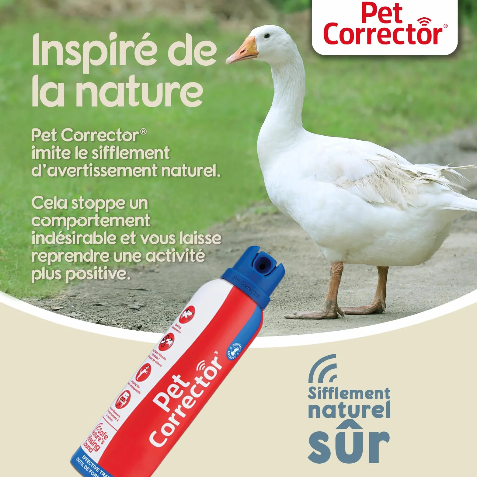 Pet Corrector Spray de dressage pour chien - Aide à contrôler les aboiements, sauts, vol de nourriture, détérioration des meubles, combats et attaques