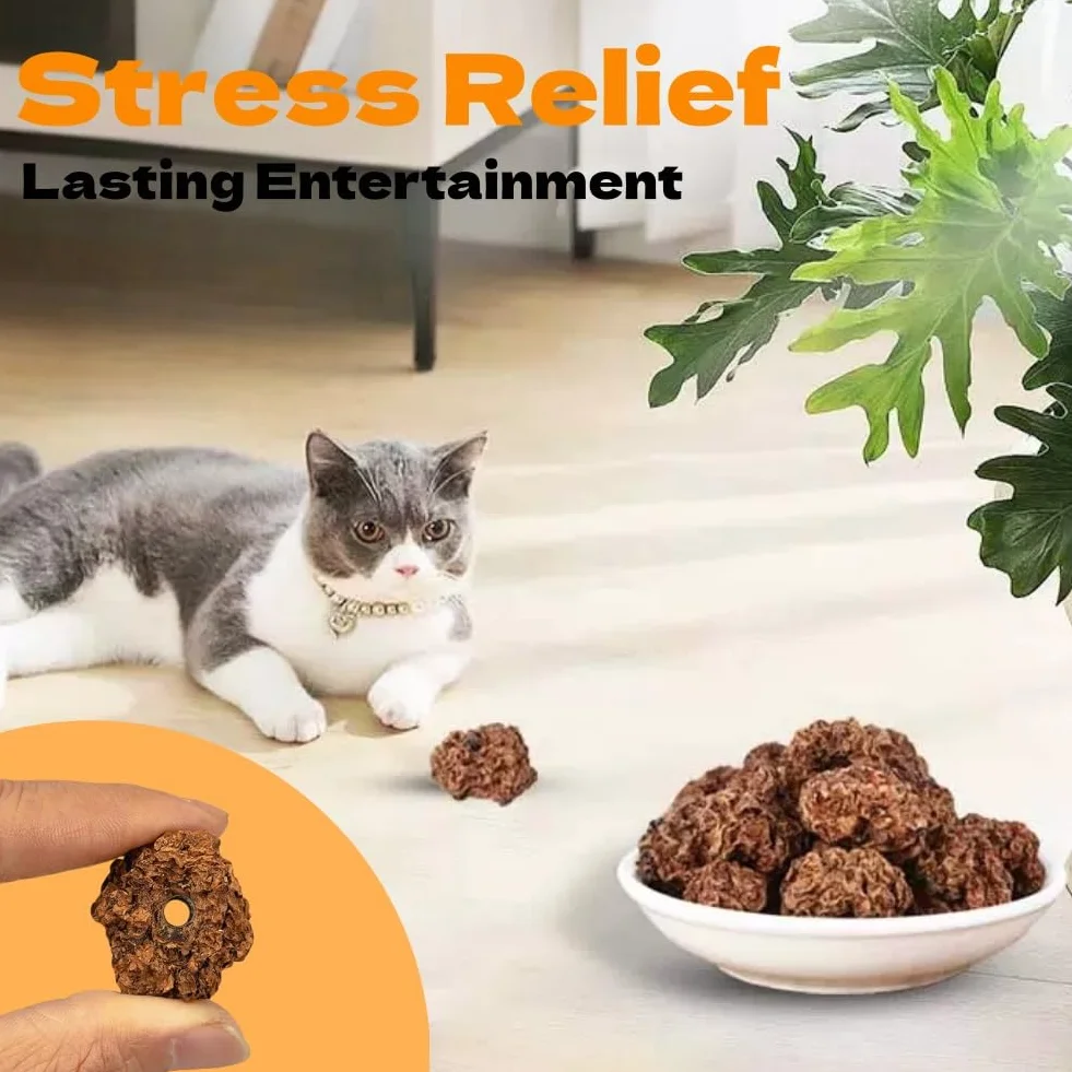 Matatabi Fruits Jouets pour Chat 20pcs