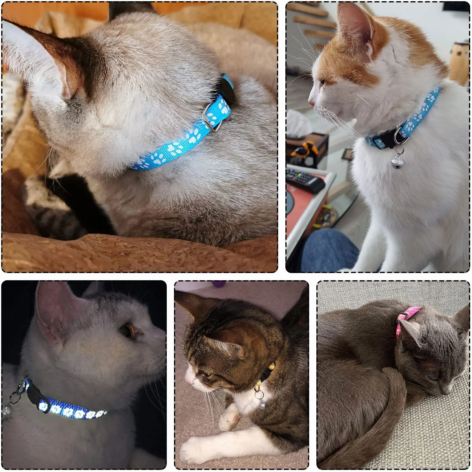Collier Chat Anti Étranglement Réfléchissant Réglable avec Clochette de Sécurité