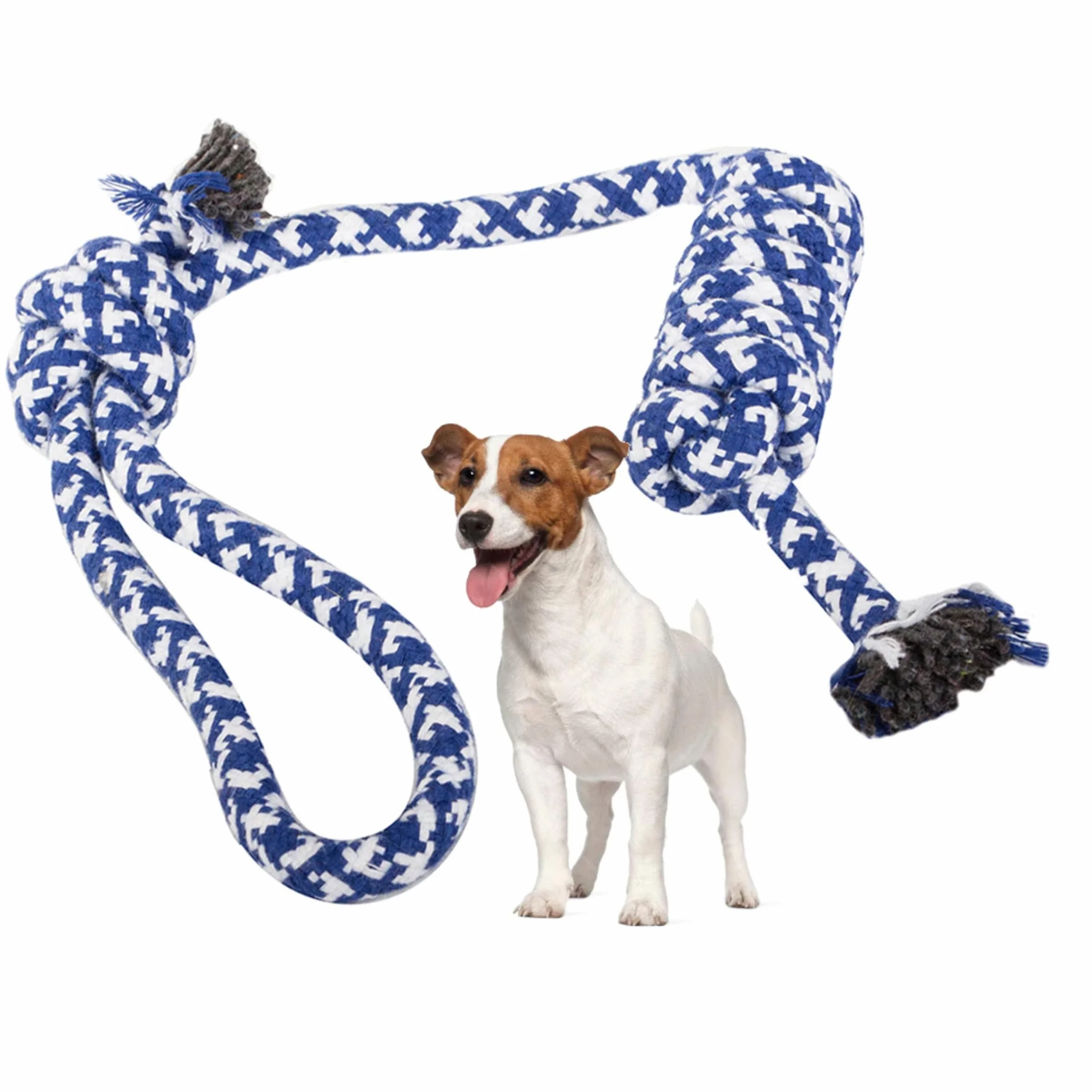 PARENCE Jouet Corde Tressée pour Chien 40 cm Ultra Résistant Poignée 10 cm