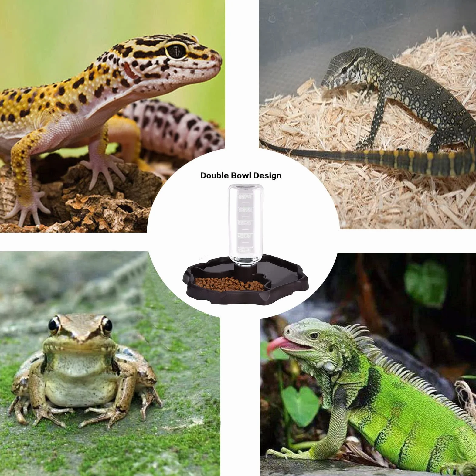Bol d'eau pour Reptiles 2 en 1 270ML Distributeur Tortue Terrestre Marron