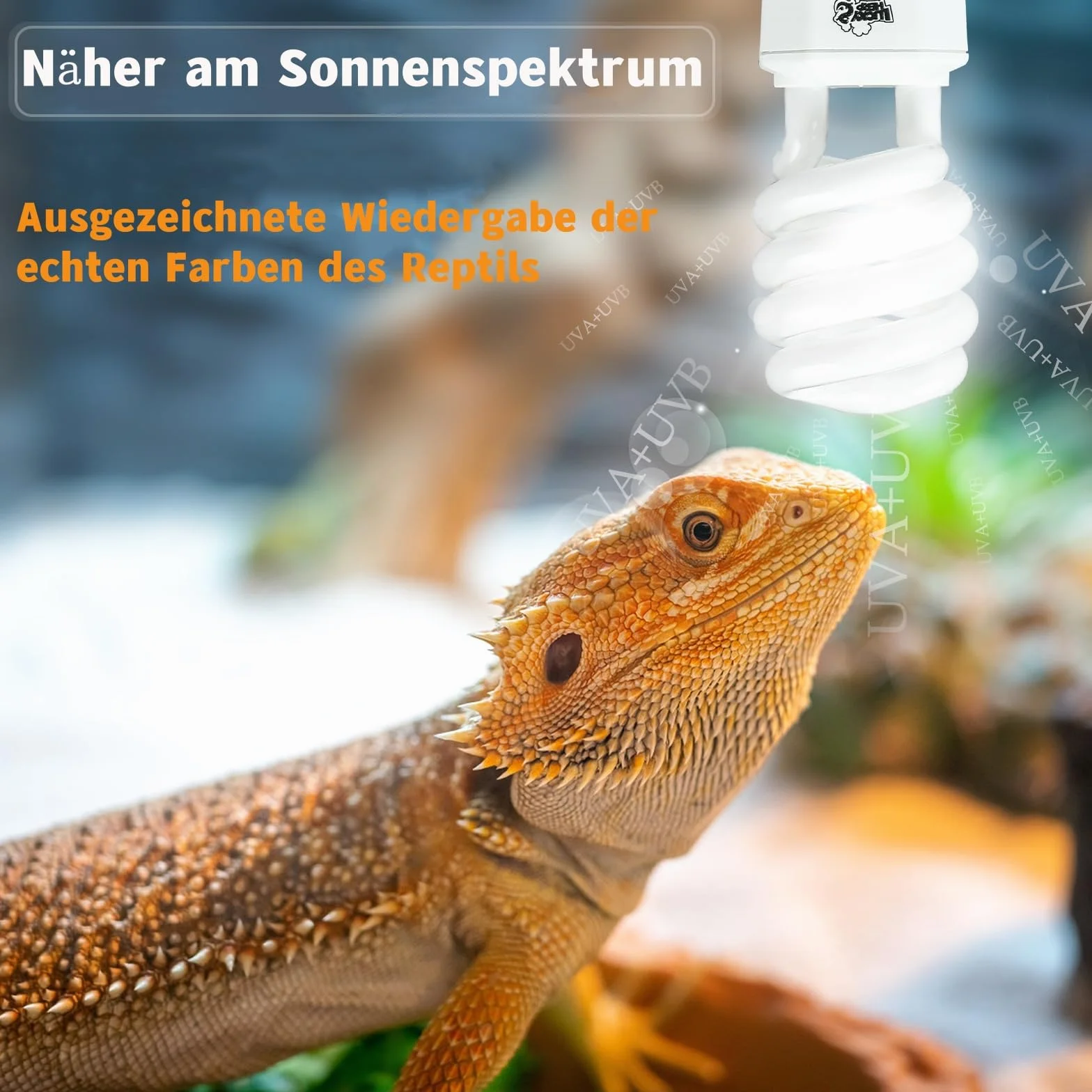 LUCKY HERP Lampe Reptile UVB 10.0 23W Ampoule UVA UVB 150 Fluorescente Compacte pour Terrarium