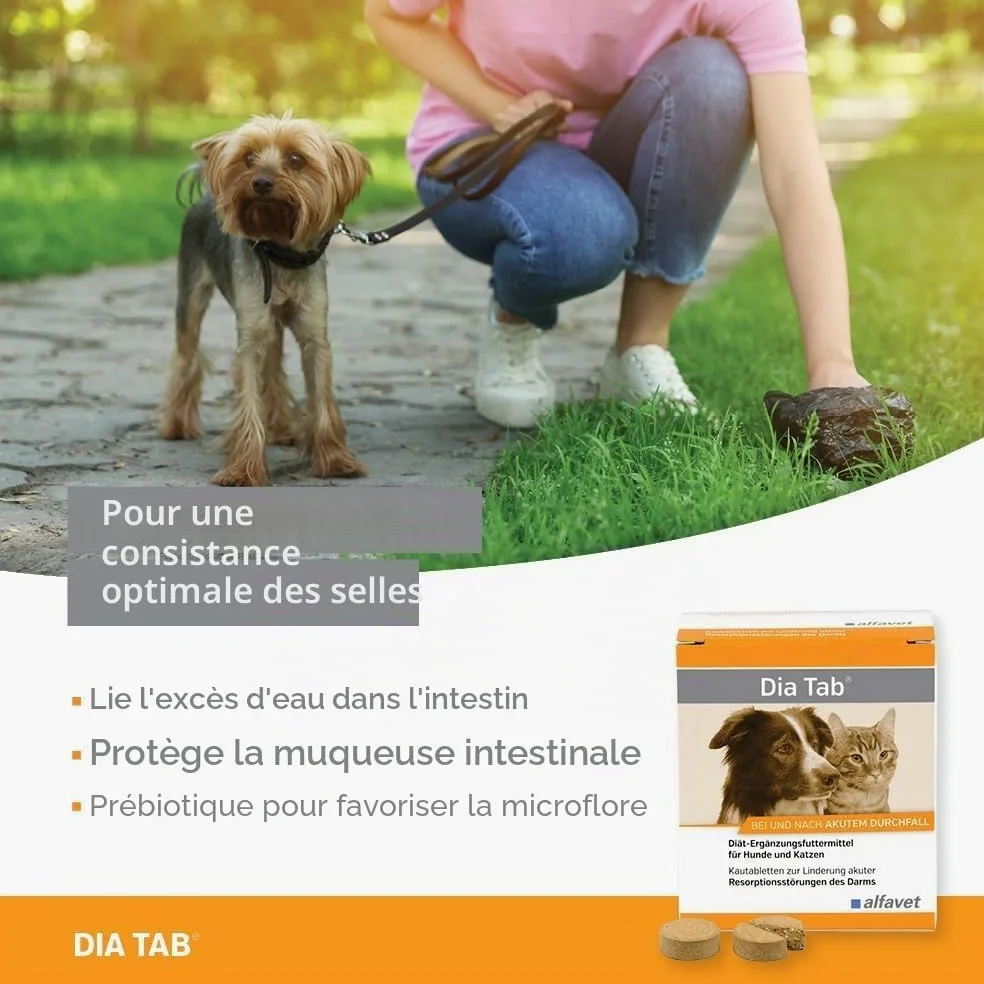 alfavet Dia Tab, complément Alimentaire diététique pour Chiens et Chats, comprimés à mâcher Contre la diarrhée et Les vomissements, 60 x 5,5 g