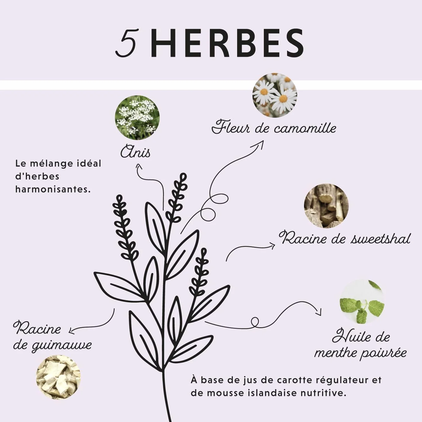 Annimally Liquide Gastro-Intestinal pour Chevaux 1000 ML - Soutien Digestion Diarrhée Herbes Naturelles