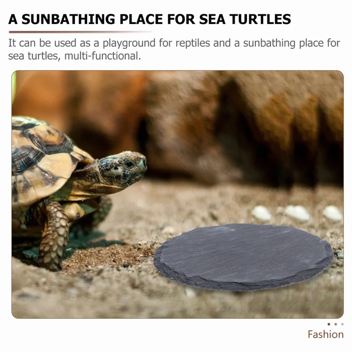 Lot de 2 Plateformes en Pierre pour Tortues, Ardoise Naturelle 10x10 cm, Accessoire Terrarium Reptile