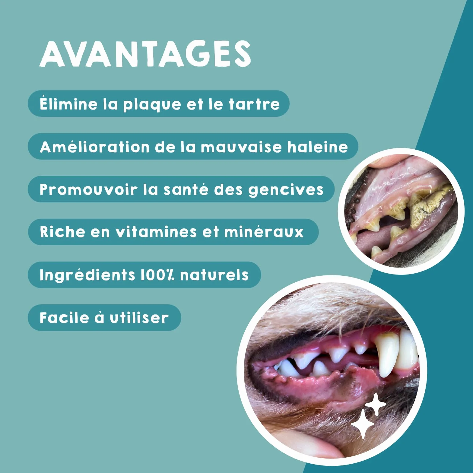 MAIKAI Poudre Anti-Tartre et Mauvaise Haleine pour Chien et Chat 150g – Complément Dentaire Naturel pour Santé Buccale