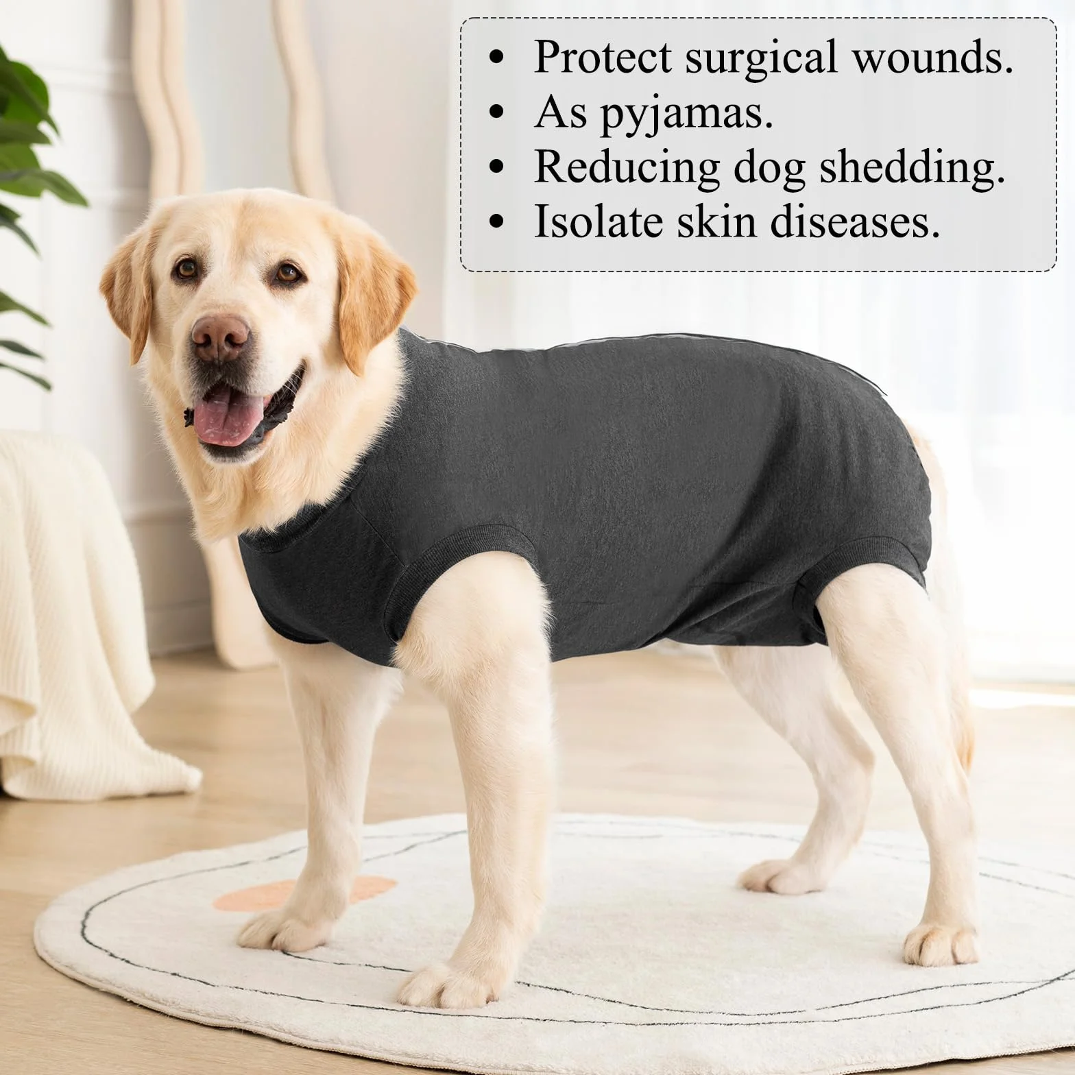 Body Chien Post Operatoire Femelle Male Castration Chemises pour Chiens Body Medical pour Chien Après Opération Anti Lechage Combinaison de Protection Chiens Sterilisation Recuperation Chienne