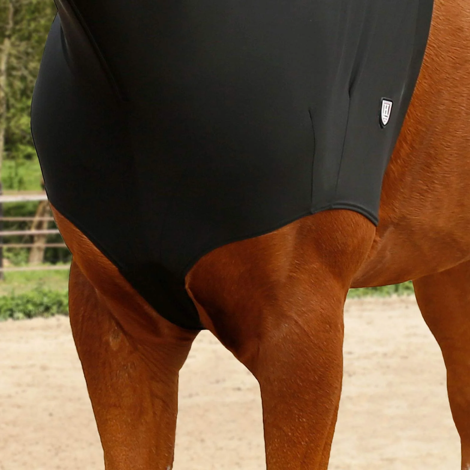 Harrison Howard Soft Fleece Trim Horse Head Hood with Zipper Black Large