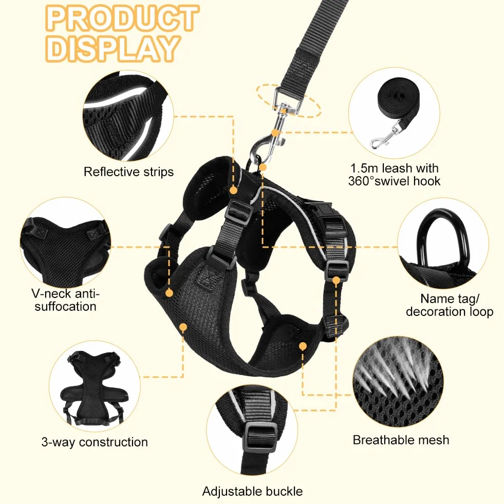 Aolso Harnais pour Chat Anti-éclatement Filet Respirant Réglable Réfléchissant Laisse 150cm Noir Taille M