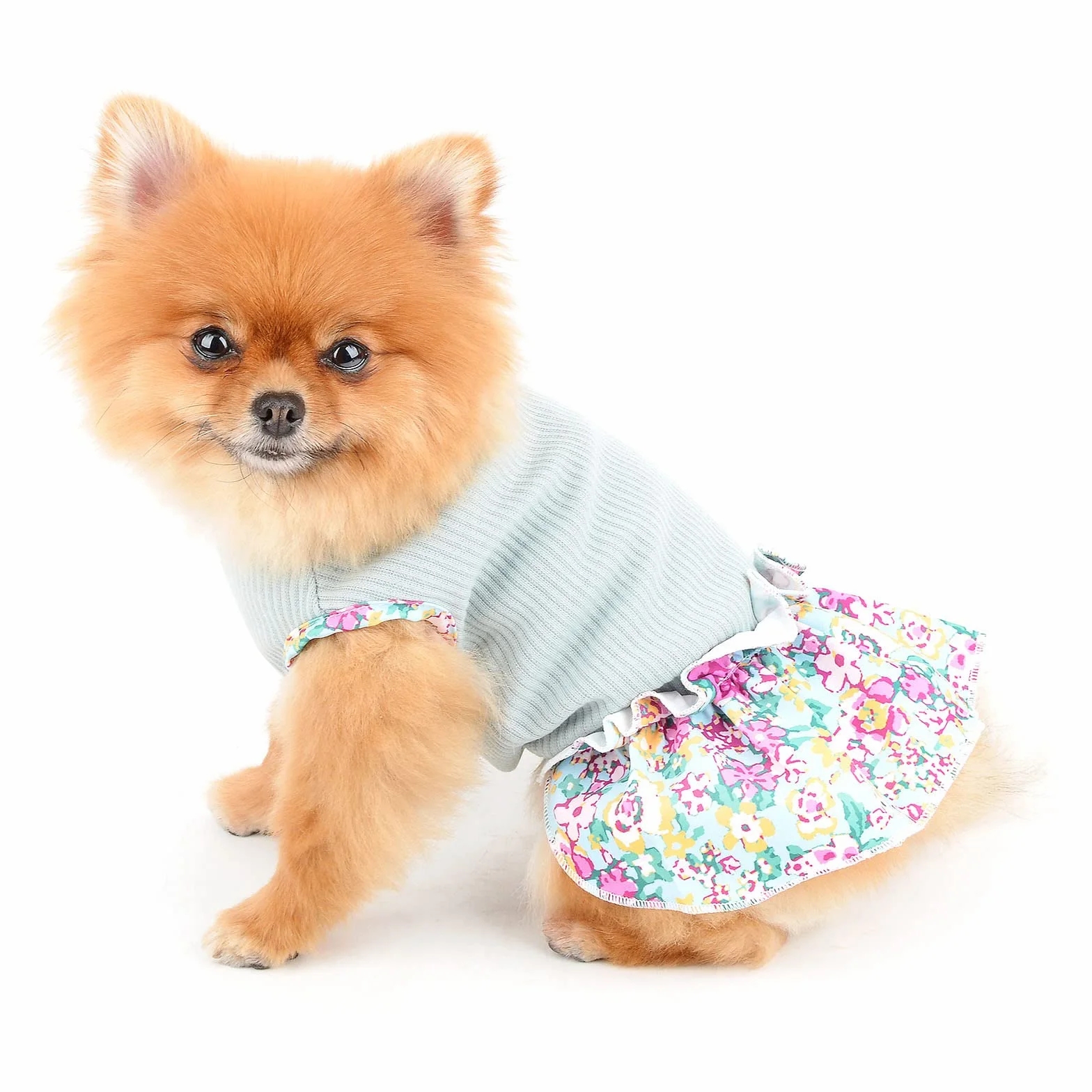 PAIDEFUL Robe Chien Coton Doux Respirant Gilet Jupe Volants Chiot Chihuahua Yorkie Vêtements Printemps Été Vert XS