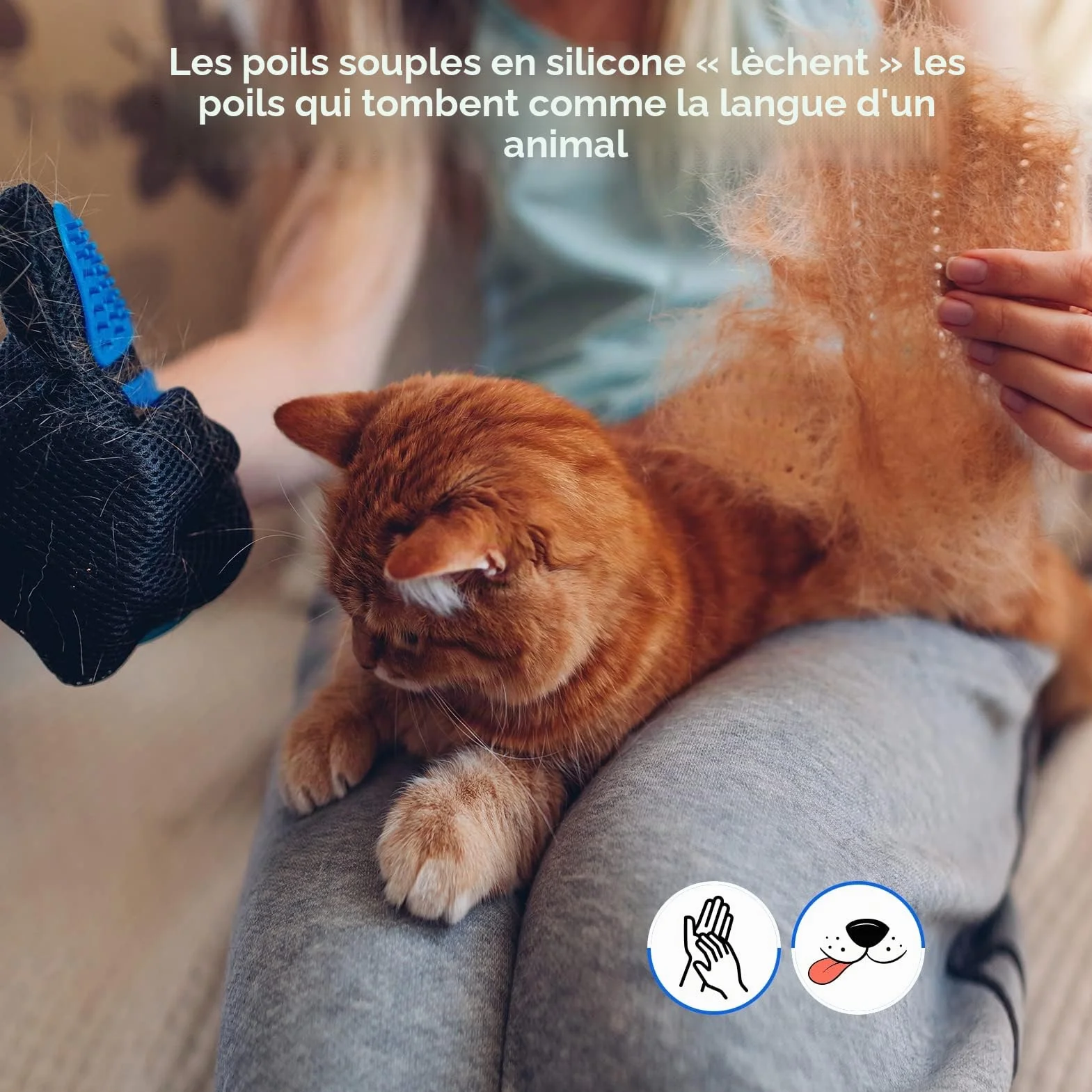 Gant de toilettage pour animaux de compagnie, doux, efficace pour enlever les poils, démêlage et massage