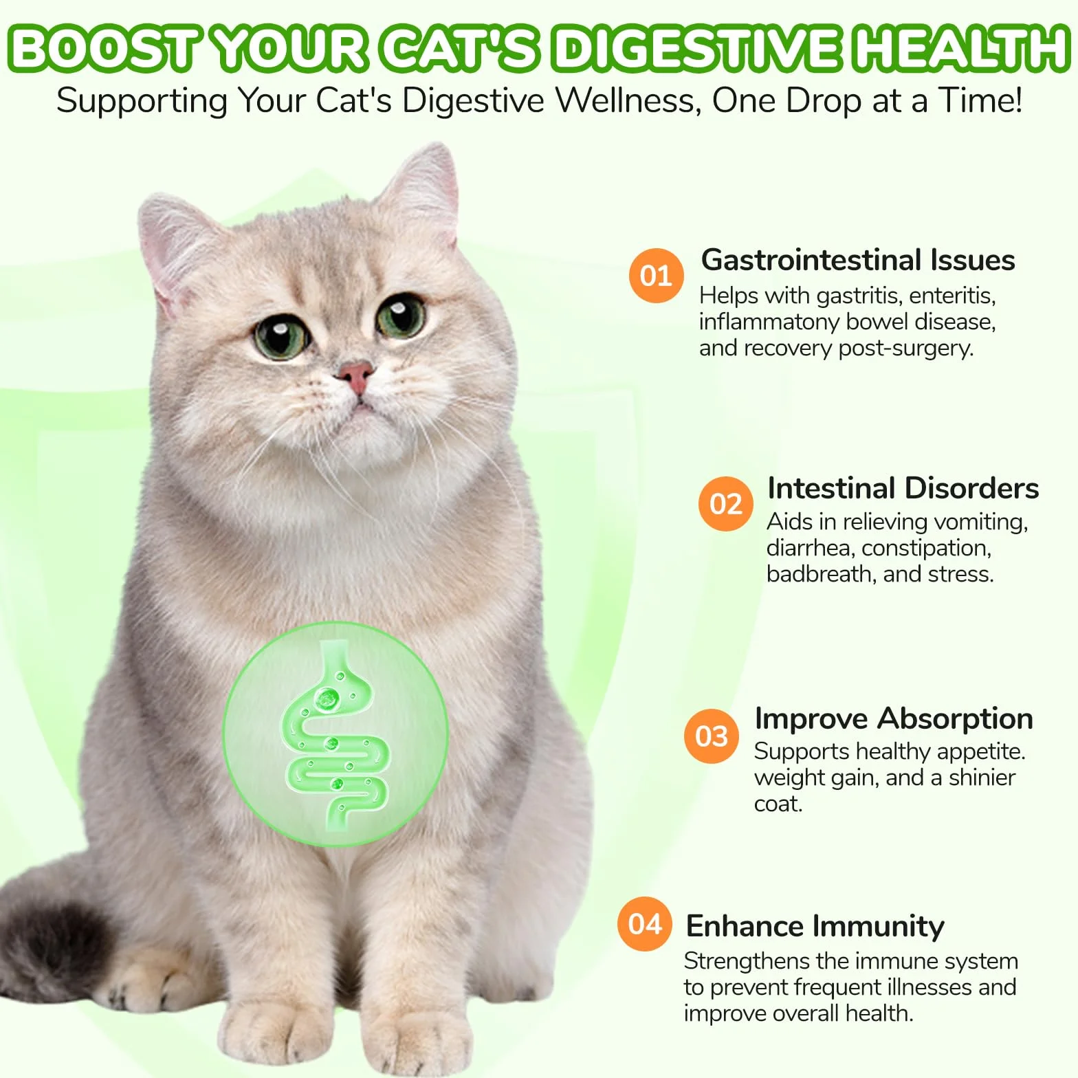 Laxatif Naturel pour Chats Constipation - Transit Intestinal Régulier & Santé Intestinale - 6 Probiotiques Actifs - 60ml