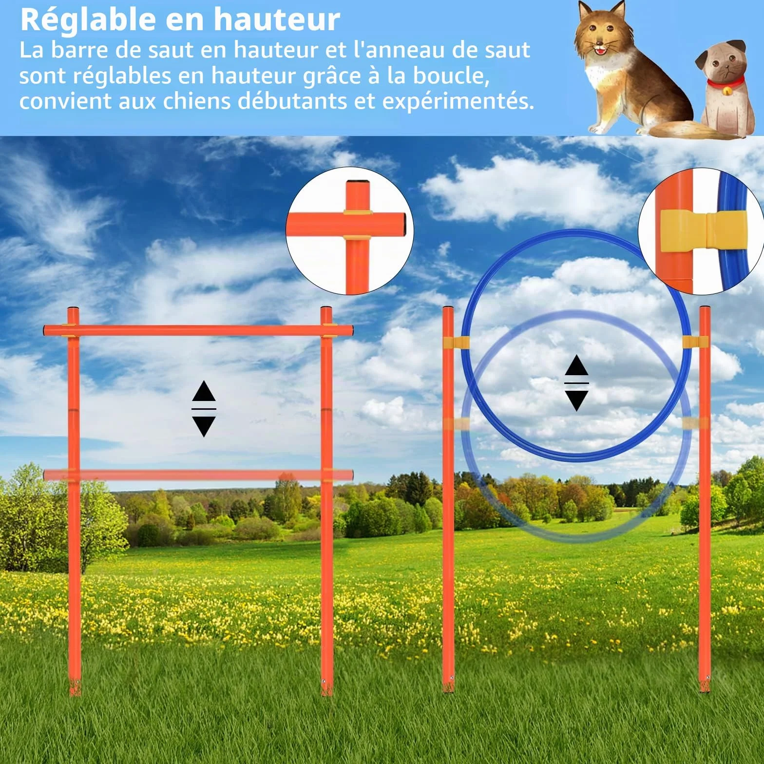 Kit d'équipement d'agilité pour chiens avec tunnel, barres de slalom réglables en hauteur et sac de transport