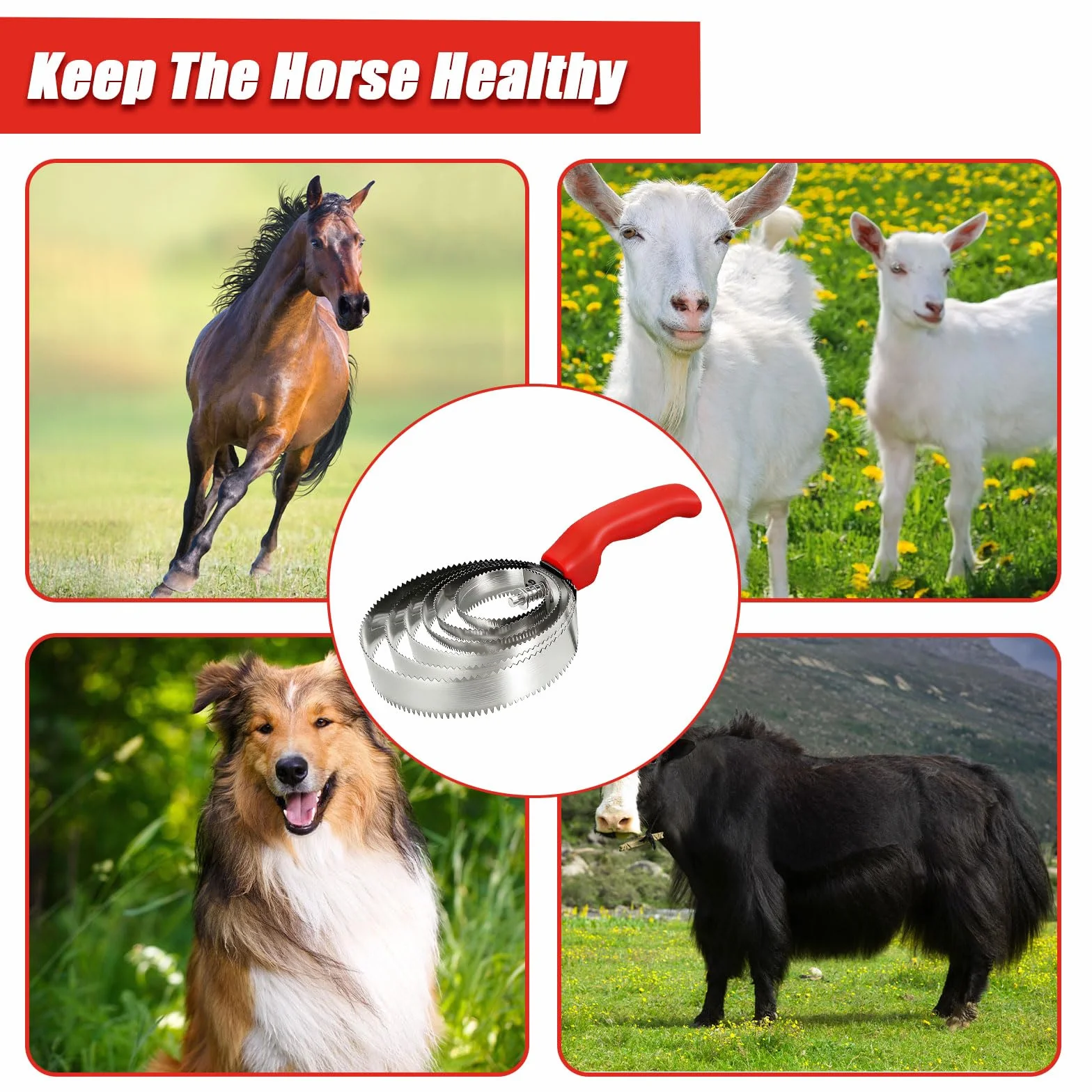Anneaux Etrille Double Face Brosse pour Cheval Peigne Curry Cheval