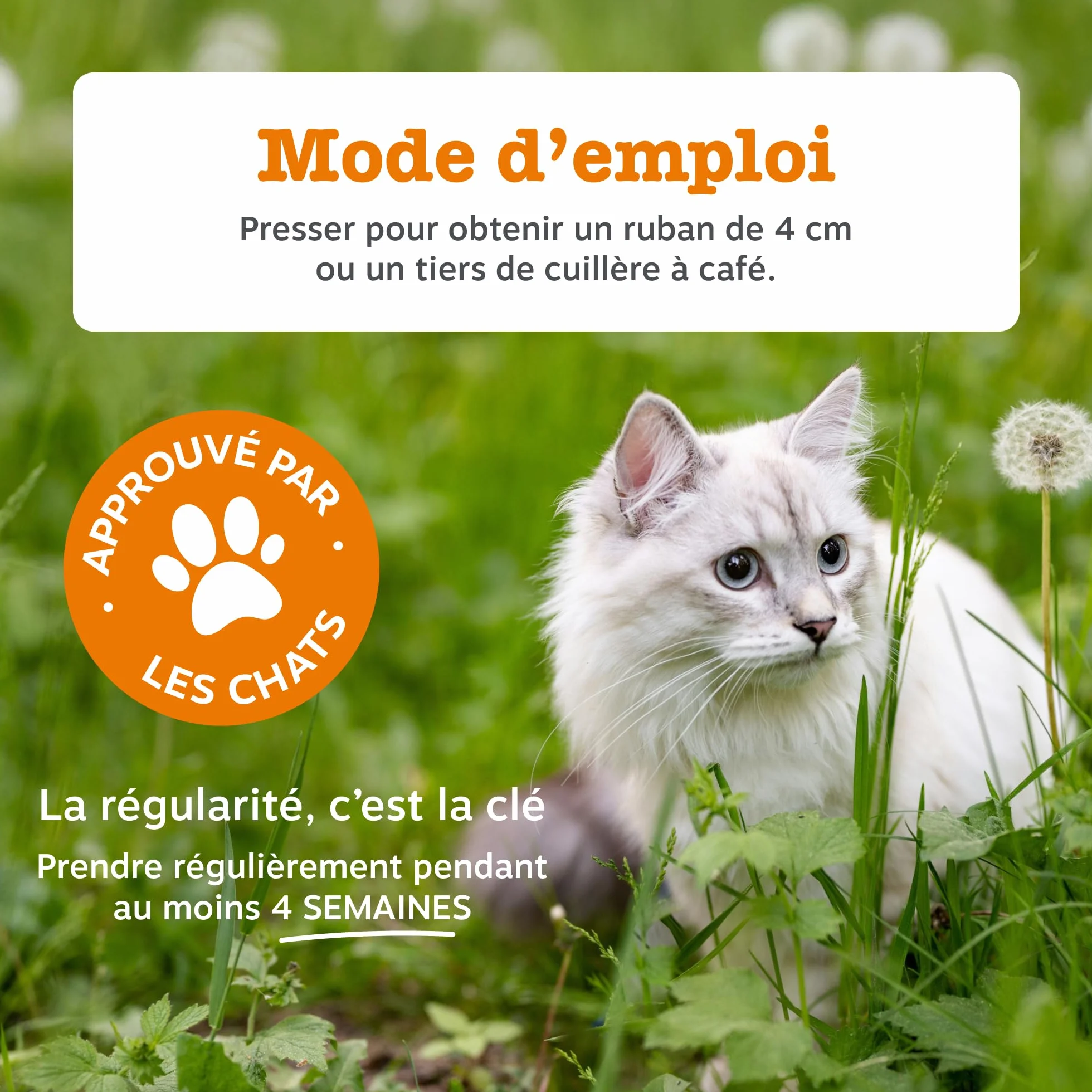 Zesty Paws Pâte Digestion Prébiotiques Chats 75g