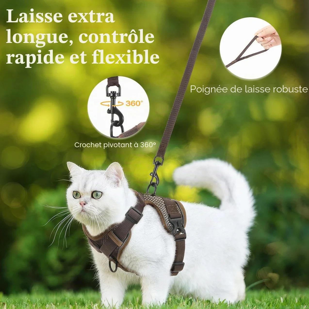 VavoPaw Harnais et Laisse Anti-évasion pour Chat, Ajustable avec Bande Réfléchissante, Filet Respirant, Taille S, Café