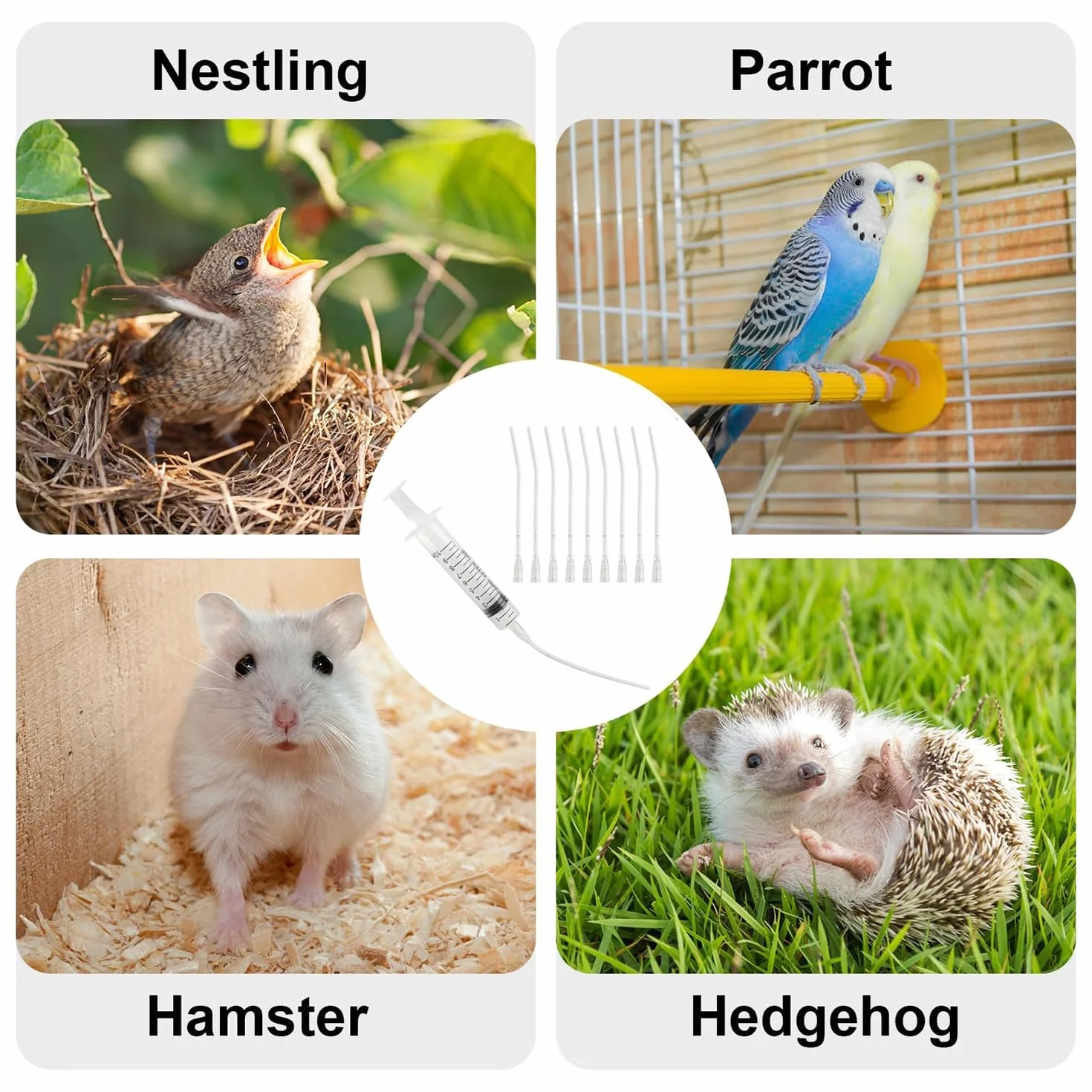 Kit d'alimentation pour Bébé Oiseau 10 ML Seringue avec Tubes pour Perroquets Petits Animaux