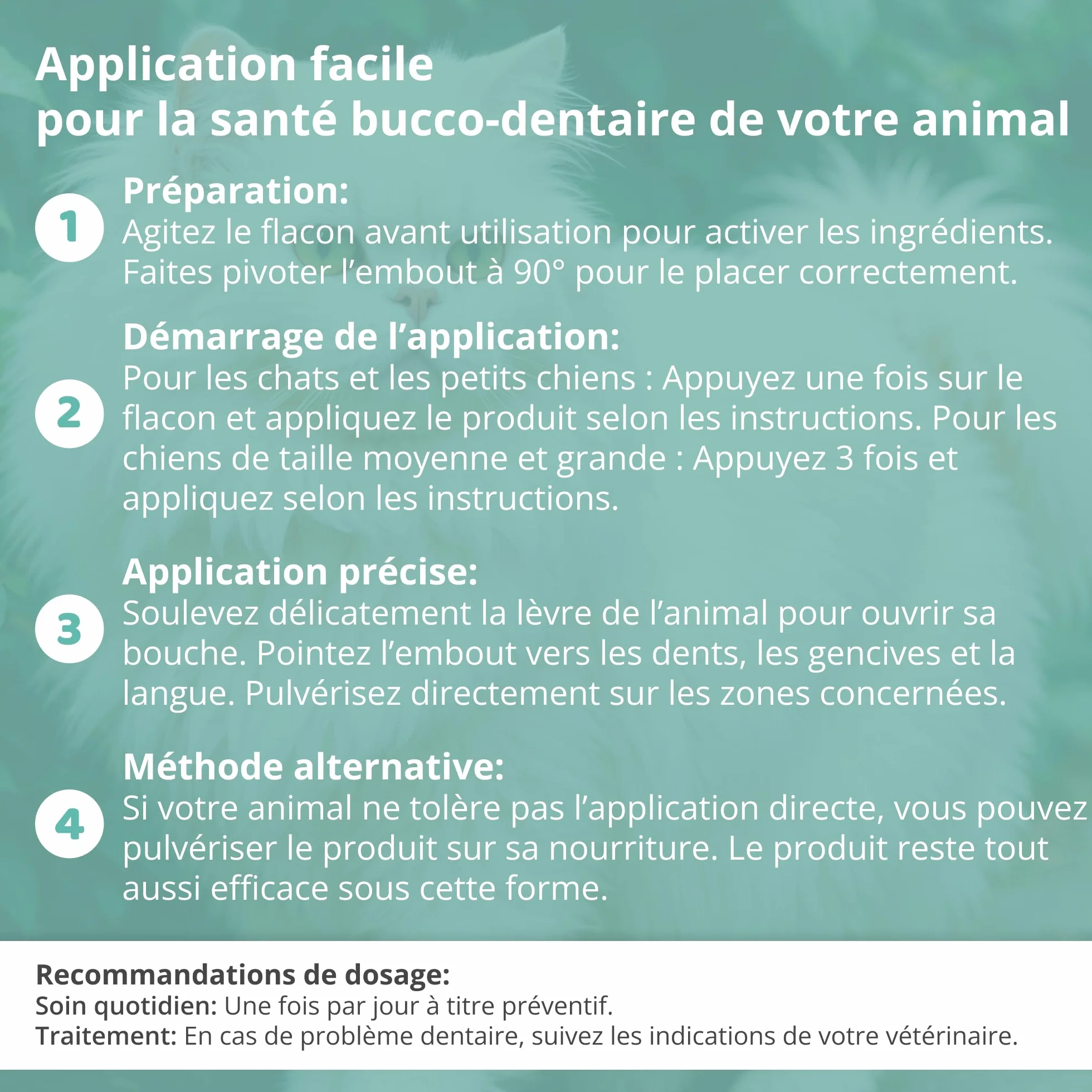 Spray Dentaire Professionnel pour Chiens et Chats – Élimine le Tartre et Mauvaise Haleine – 100 ML