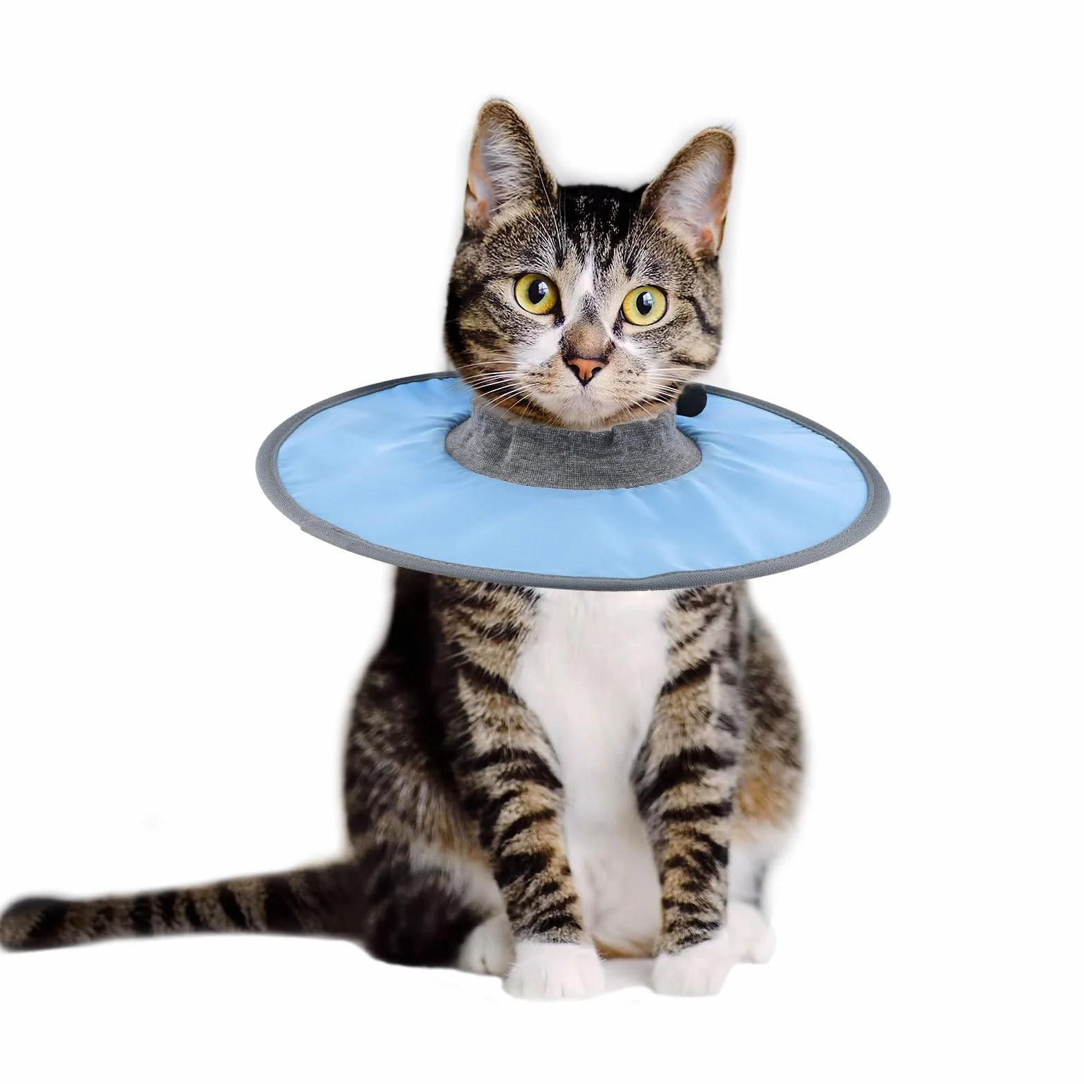 SAVITA Ajustable Collier de Récupération Chat, Collier de Protection Étanche Élisabéthain pour Chats Chirurgie Lécher Plaies (Bleu)