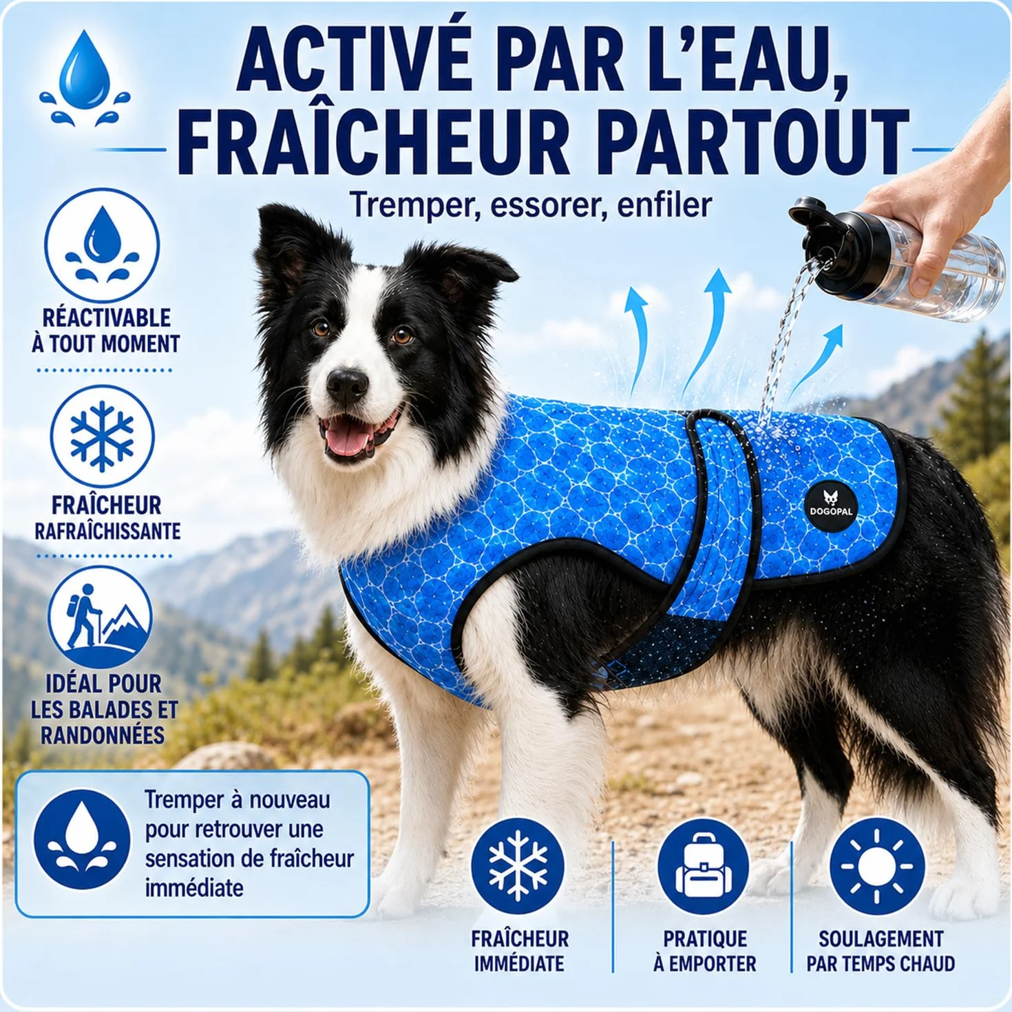DOGOPAL Gilet Rafraîchissant pour Chien Activé par l'Eau, Veste Réfrigérante avec Protection UV, Manteau d'Été Léger et Respirant à Col Haut (Bleu, XXL)