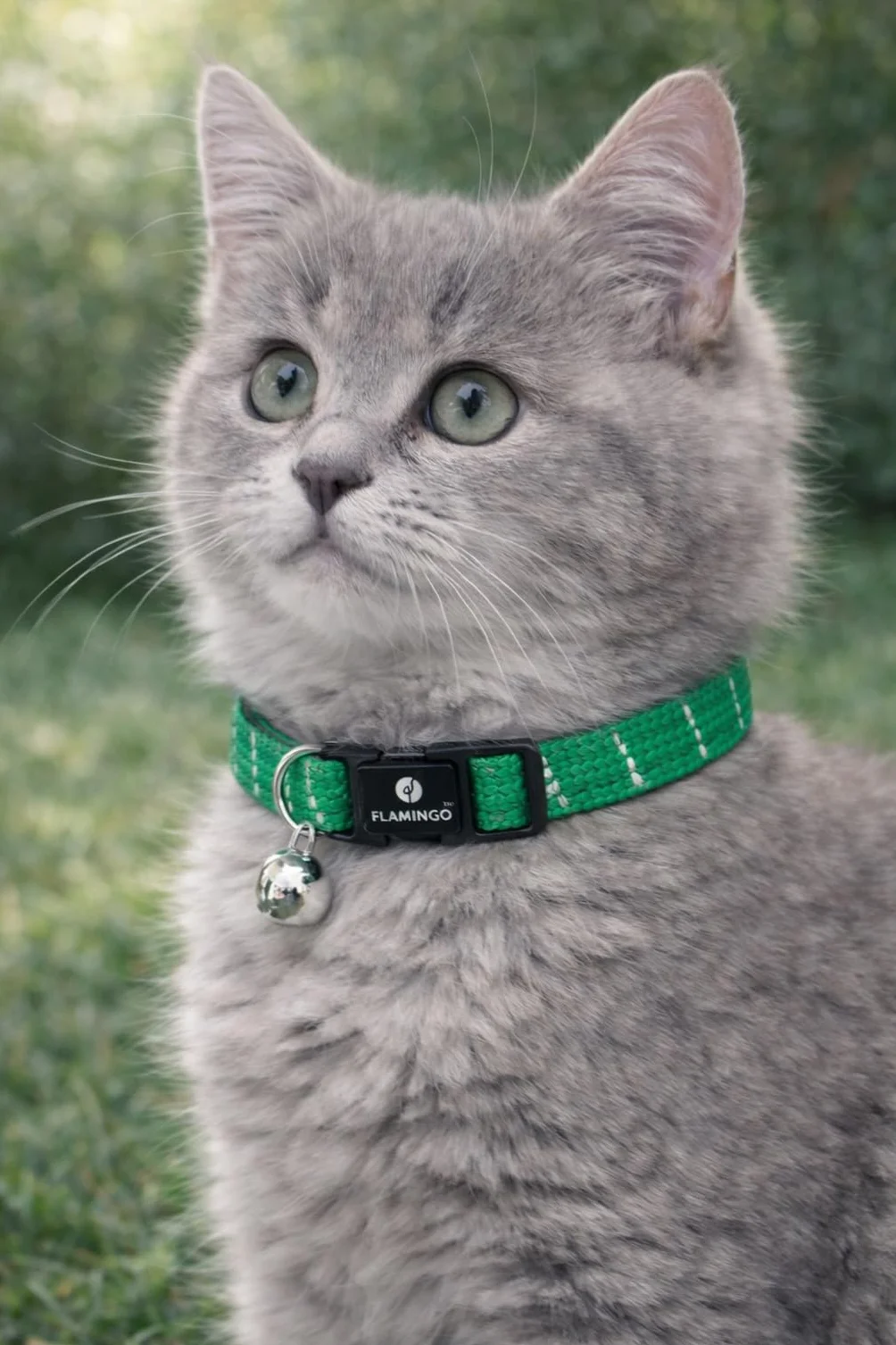Collier Chat Chaton Elza Vert 15–22 cm Nylon élastique réfléchissant avec Clochette