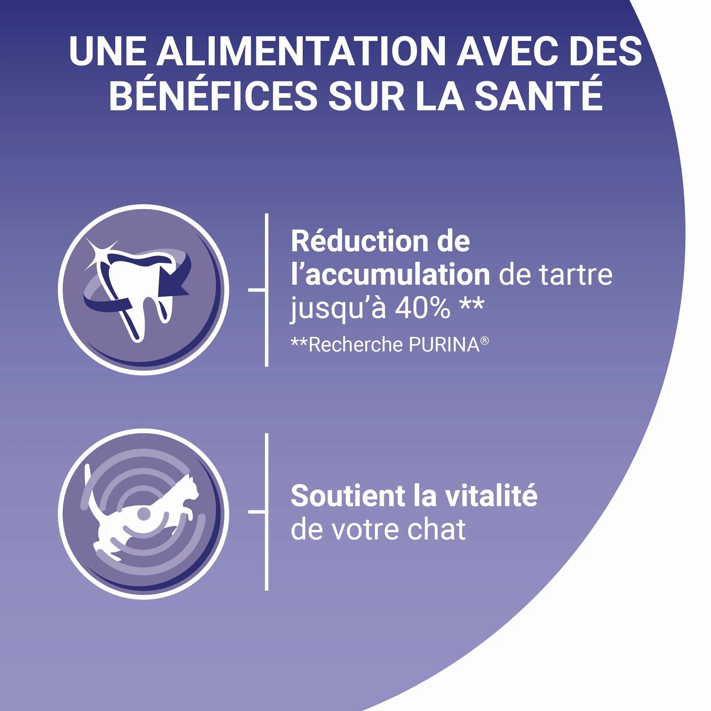 PURINA ONE BIFENSIS Croquettes Chat Adulte Stérilisé Au Saumon 9,5kg