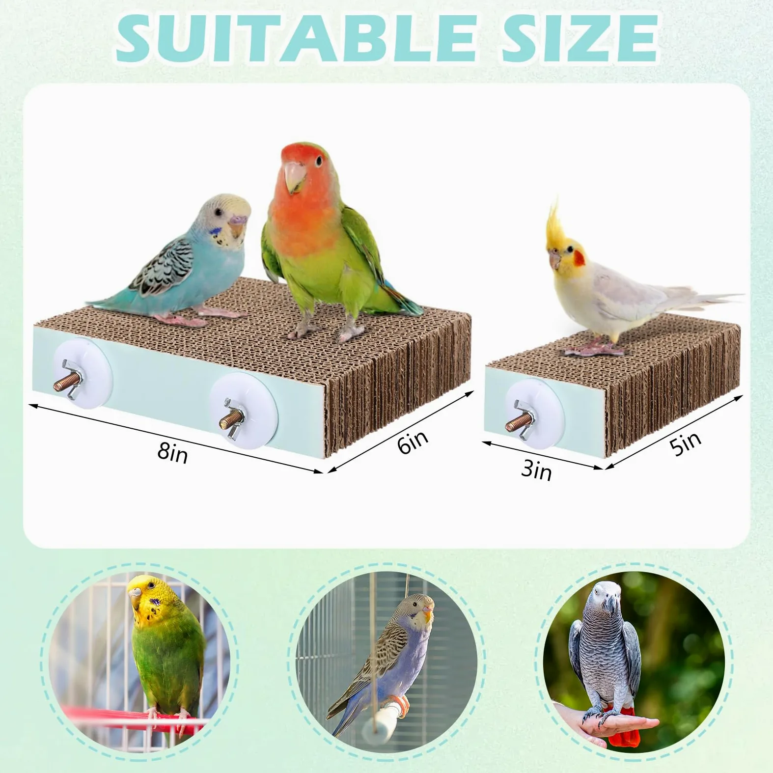 Nuanchu Lot de 6 perchoirs à oiseaux en carton pour perroquet, plate-forme de meulage de pattes d'oiseaux, cage à perroquet, moineau, perroquet, perruche, calopsitte, inséparable