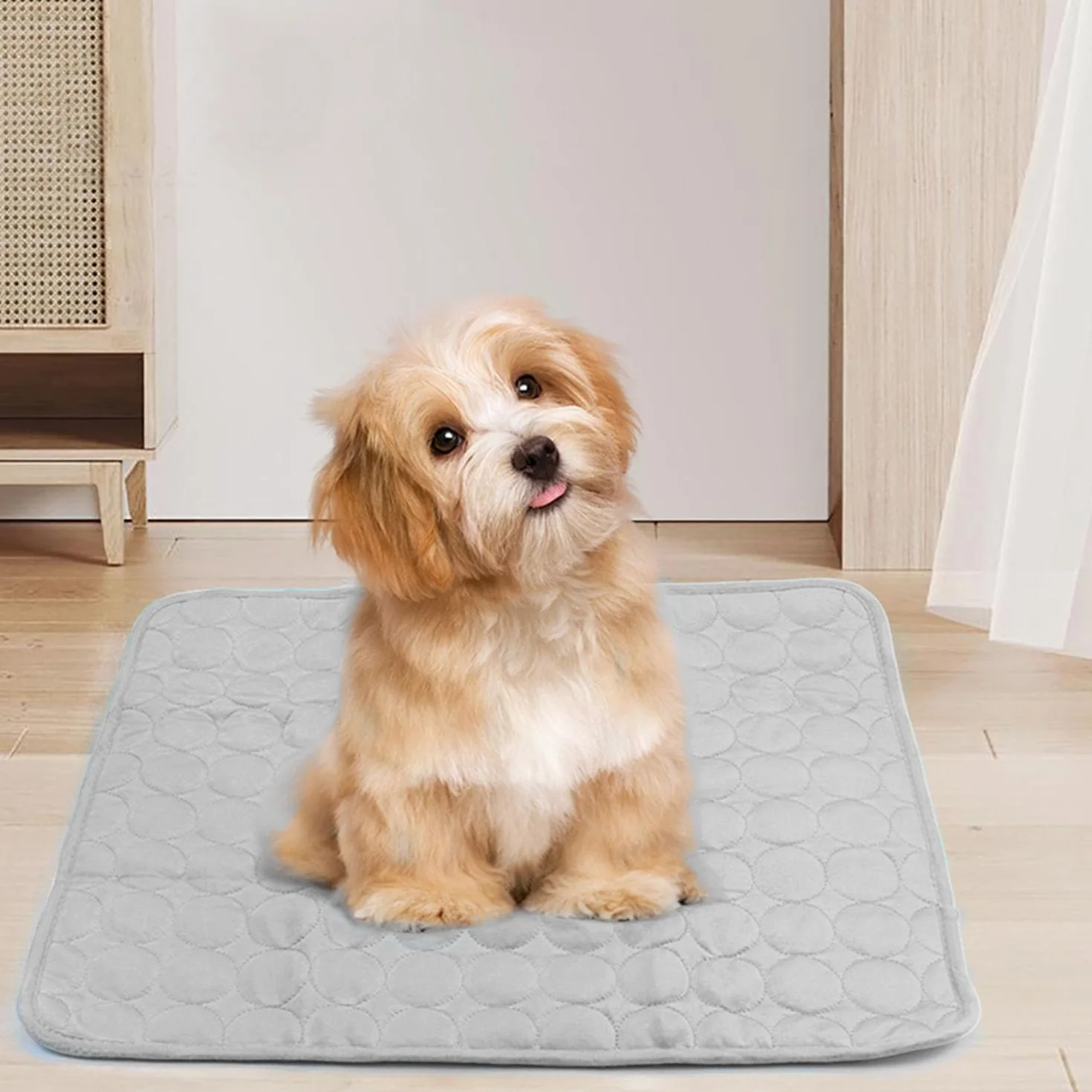 Tapis rafraîchissant pour chien et chat 62 x 50 cm