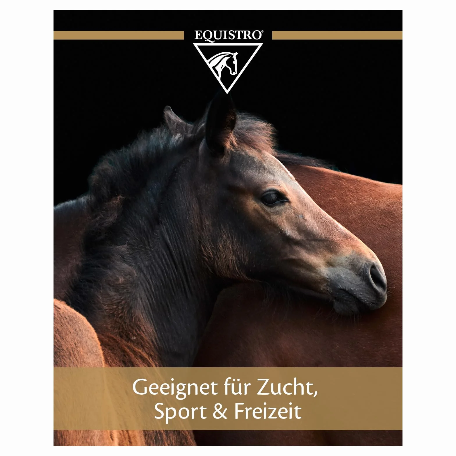 EQUISTRO® Flexadin Advanced Complément Alimentaire pour Chevaux Soutien du métabolisme articulaire UC-II® 2,4 kg