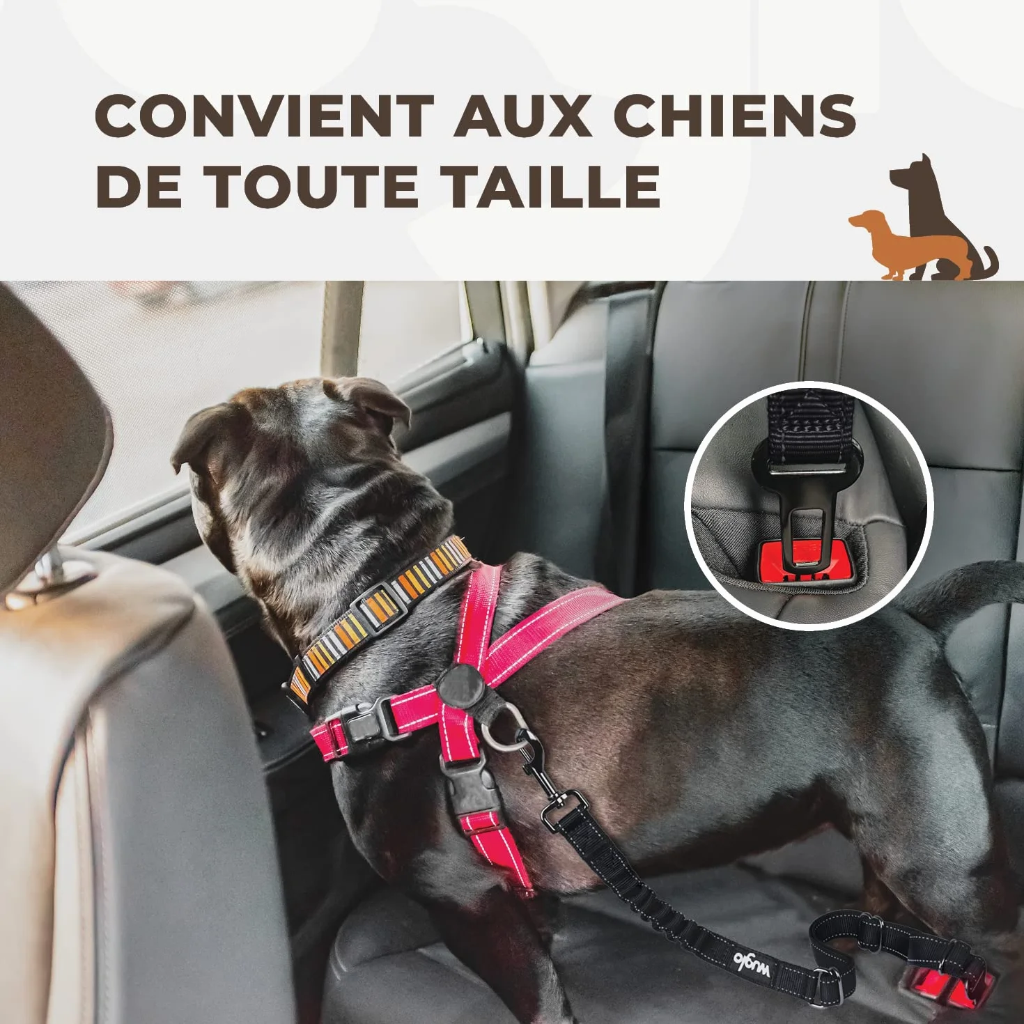Ceinture de Sécurité Chien Voiture 30-95 cm Harnais Élastique Robuste Clip Noir