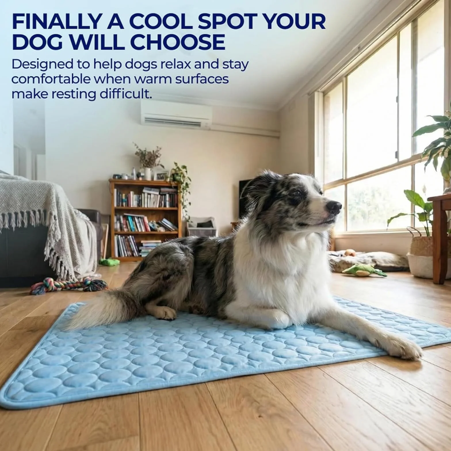 Tapis Rafraîchissant pour Chien et Chat en Tissu Ice Silk, Coussin Fraîcheur Lavable Pliable Anti-Chaleur Été Bleu M