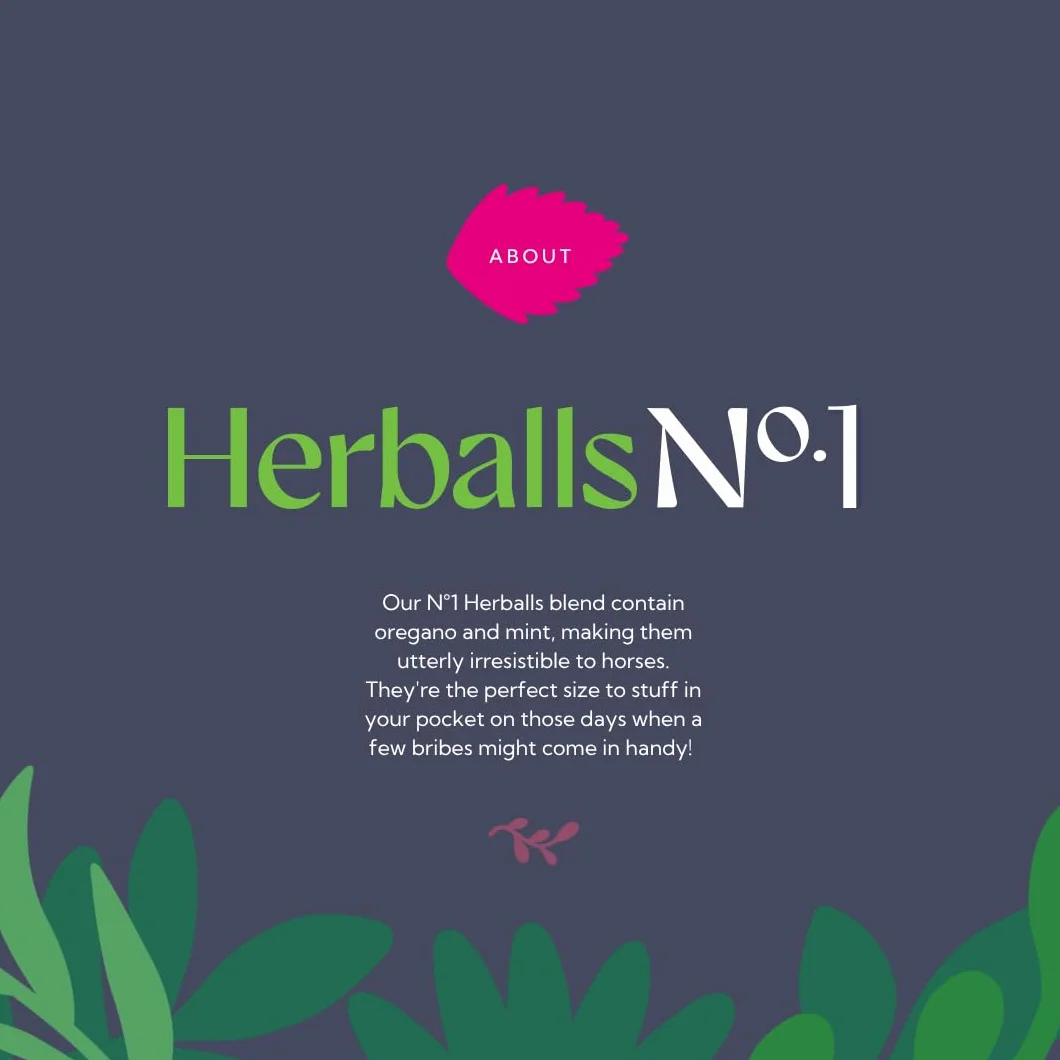 Hilton Herbs Herballs, vert, sac de 2 kg