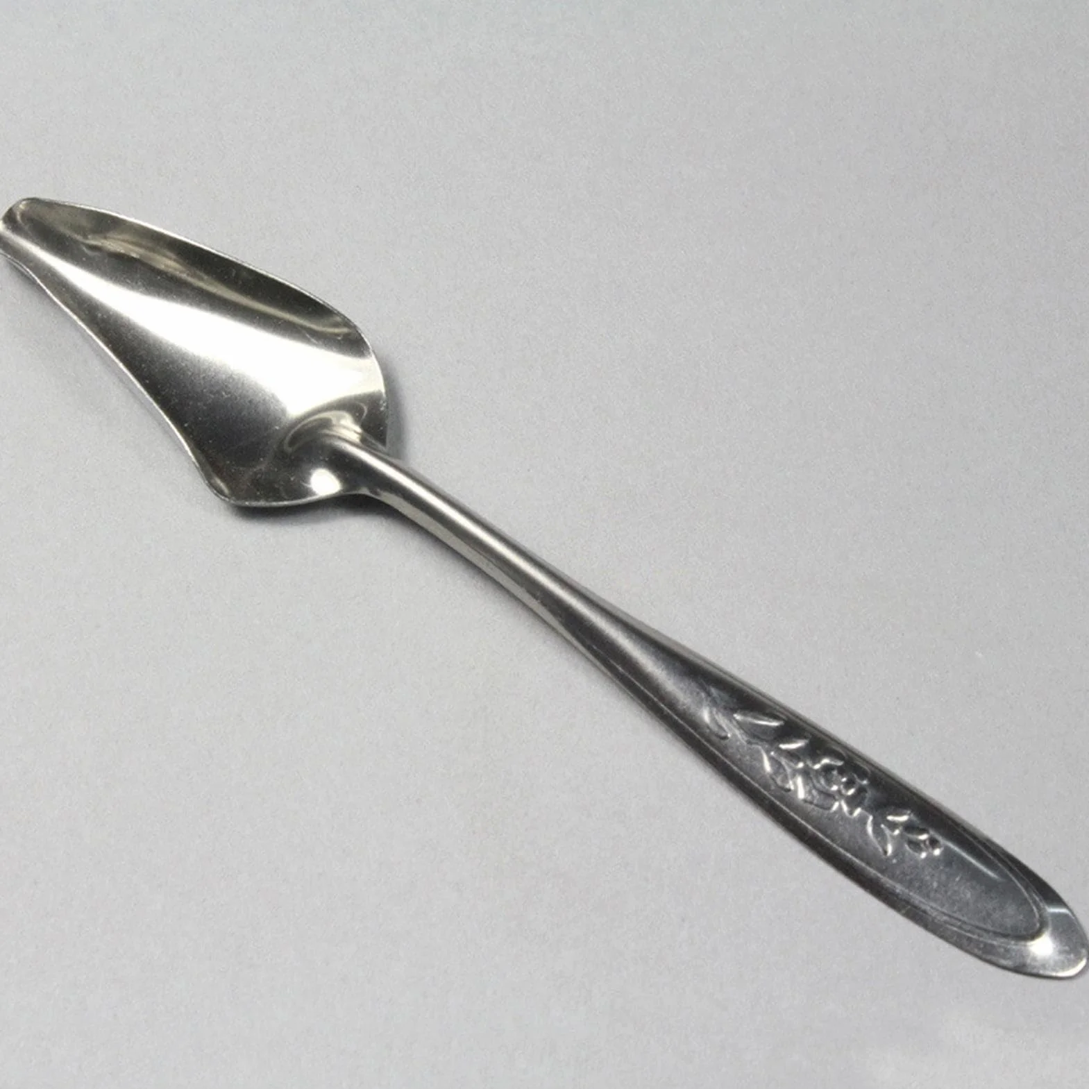 Cuillère à Nourrir pour Oiseaux en Métal 10 Pièces pour Perruches, Conures, Pivoine