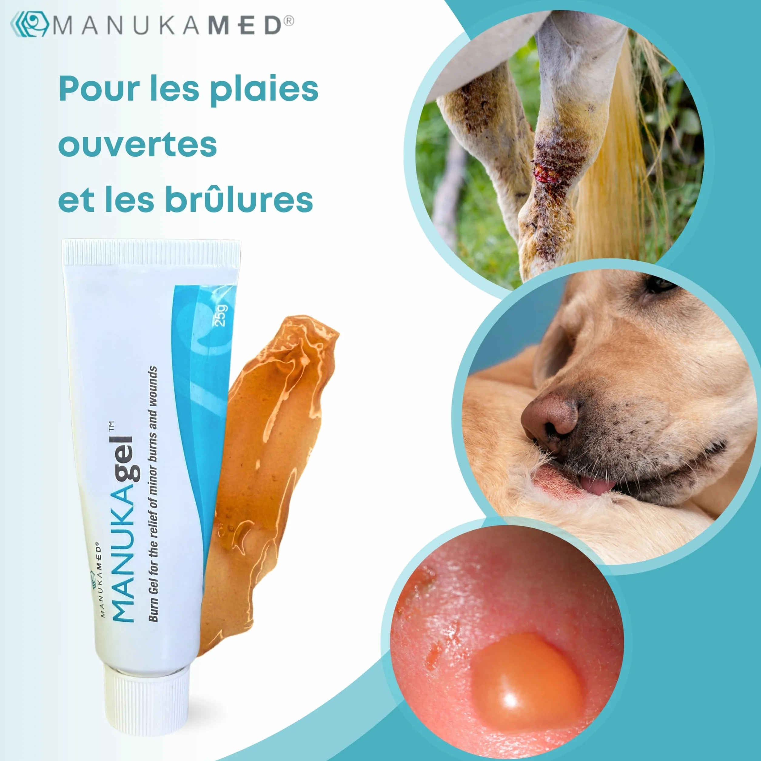ManukaMed MANUKAgel Crème cicatrisante pour Chiens Chevaux Chats MGO 560+ antibactérien 25 g