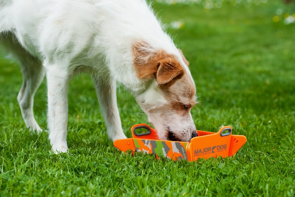 Gamelle Pliable/Écuelle de Voyage/Mangeoire/Bol pour Les Déplacement pour Chien