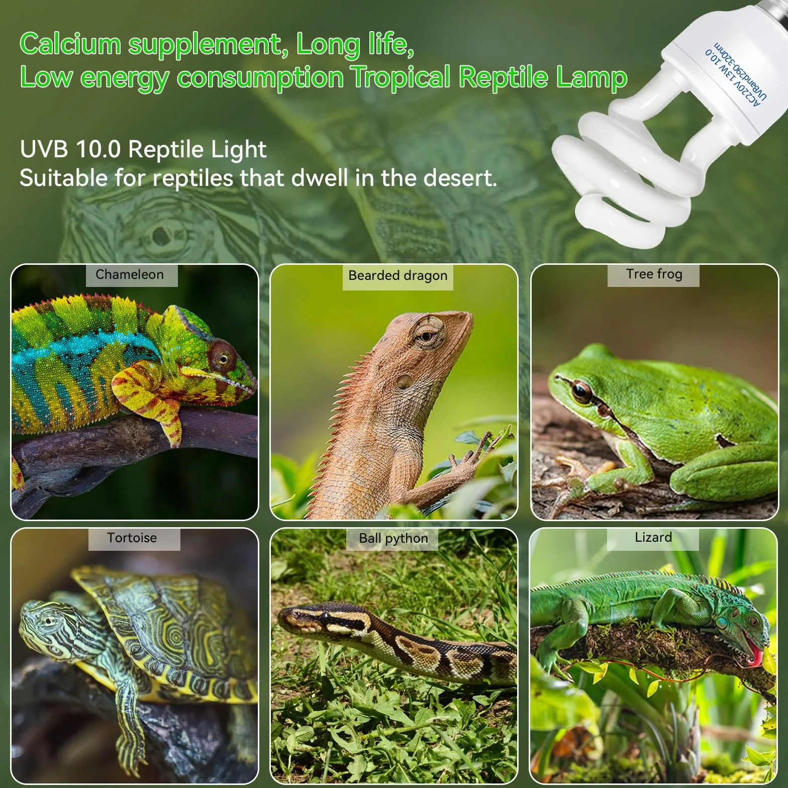 Caldarax 13W Ampoule UVA UVB 10.0 E27 pour Reptiles Tortue Terrarium 220V