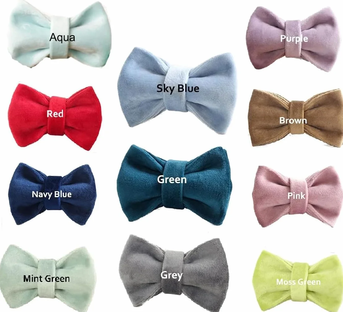 Collier Personnalisé pour Chat avec Gravure Nom Téléphone, Tissu Velours Doux, Boucle Métal Sécurisée, Bleu Marine, L 20-32cm