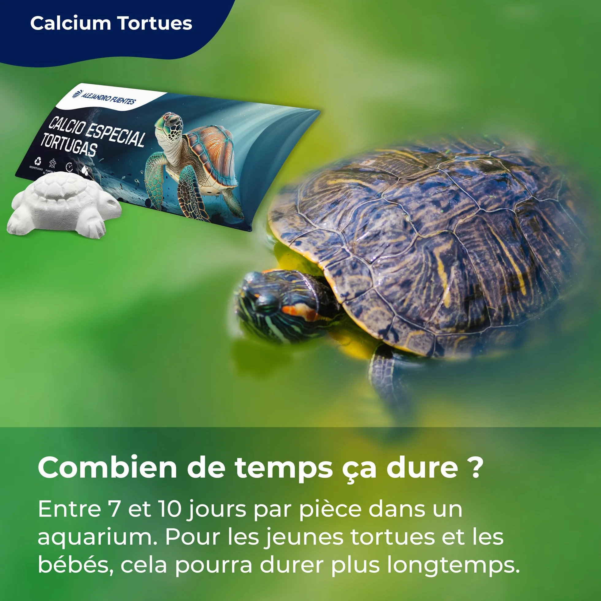 AF® Os de Seiche Tortue Alternatif, Pack 4 Pièces Calcium Tortue Terrestre et Aquatique, Bloc Minéral Libération Lente, Carapace Forte et Eau Propre, Formule Vitaminée Naturelle