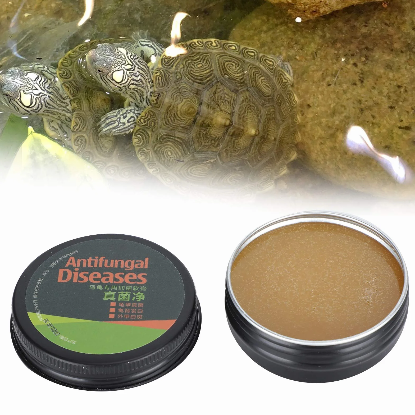 Crème de Soin de Tortue Pratique pour Protéger la Santé des Tortues de Compagnie