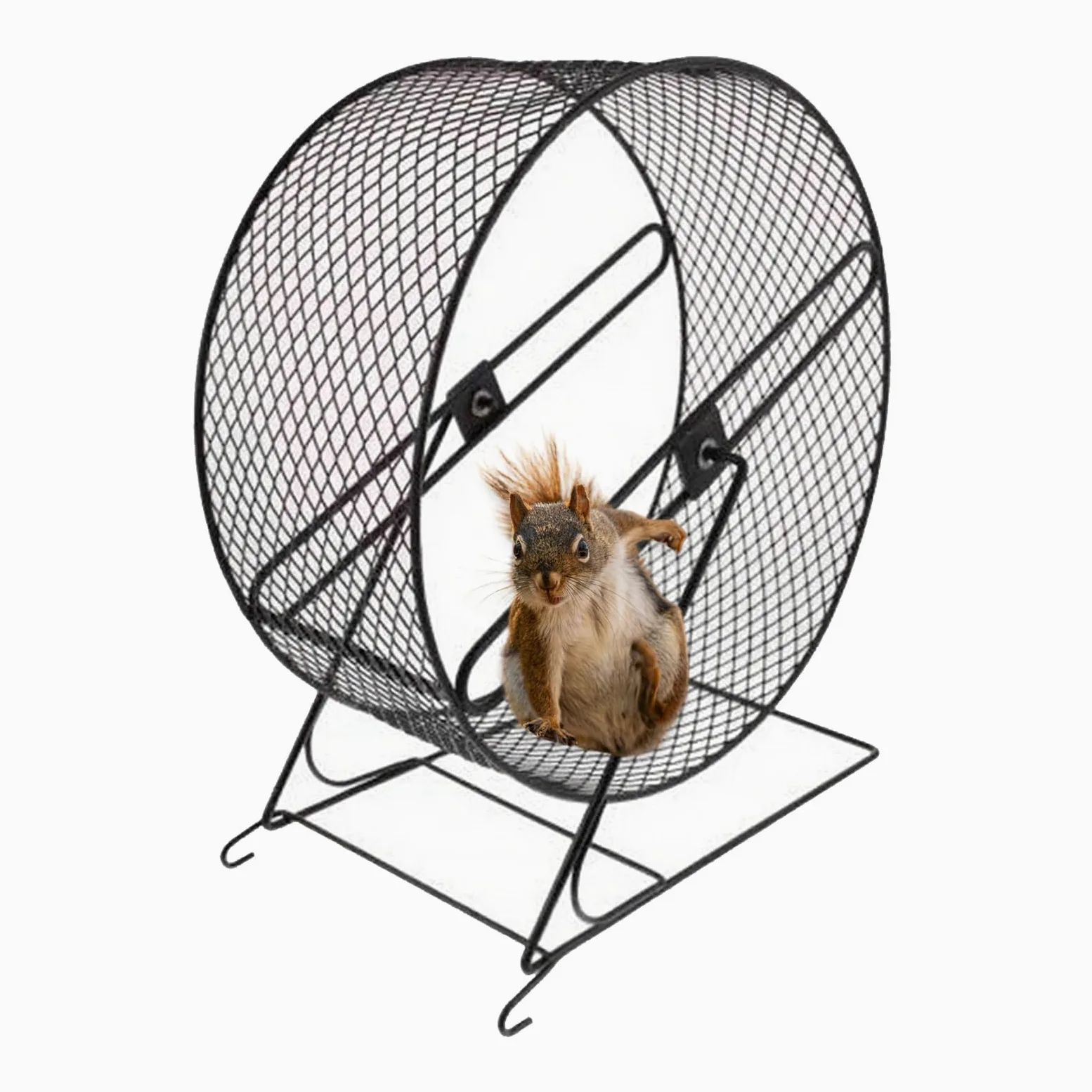 Roue en métal silencieuse pour hamster, plan de fer permanent pour les petits animaux, la coupe des onguis et le fitness, plusieurs roues fonctionnelles pour petits animaux