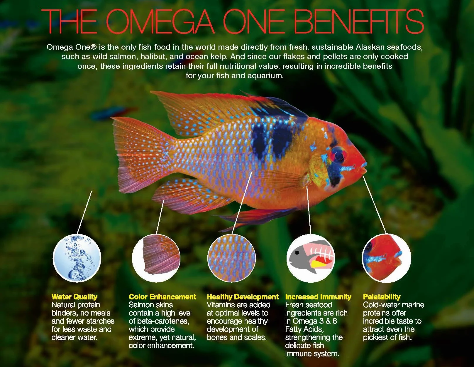 Omega One Super Color Flakes 12 oz